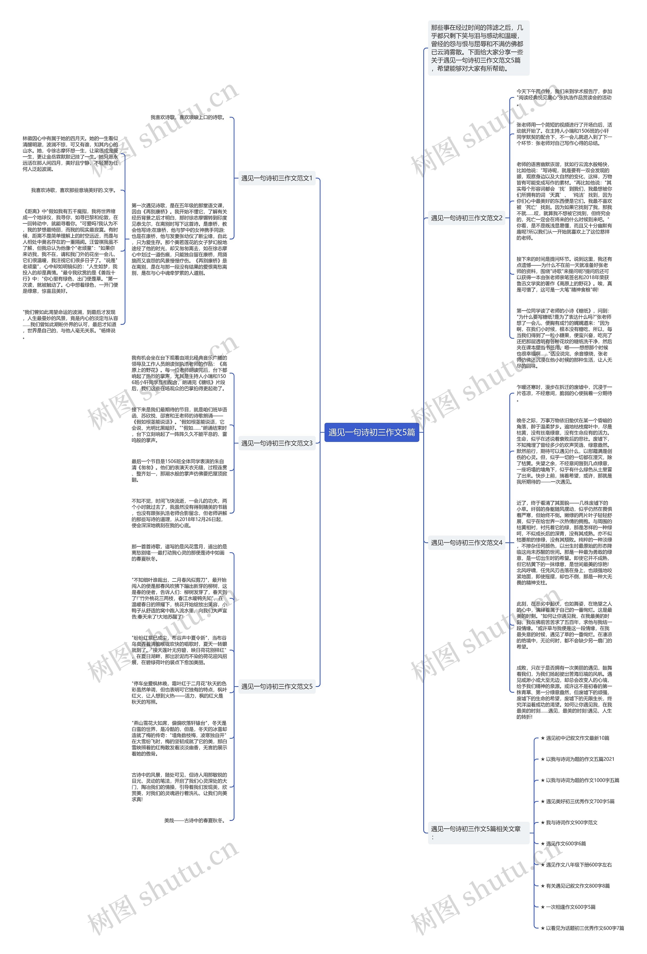 遇见一句诗初三作文5篇思维导图