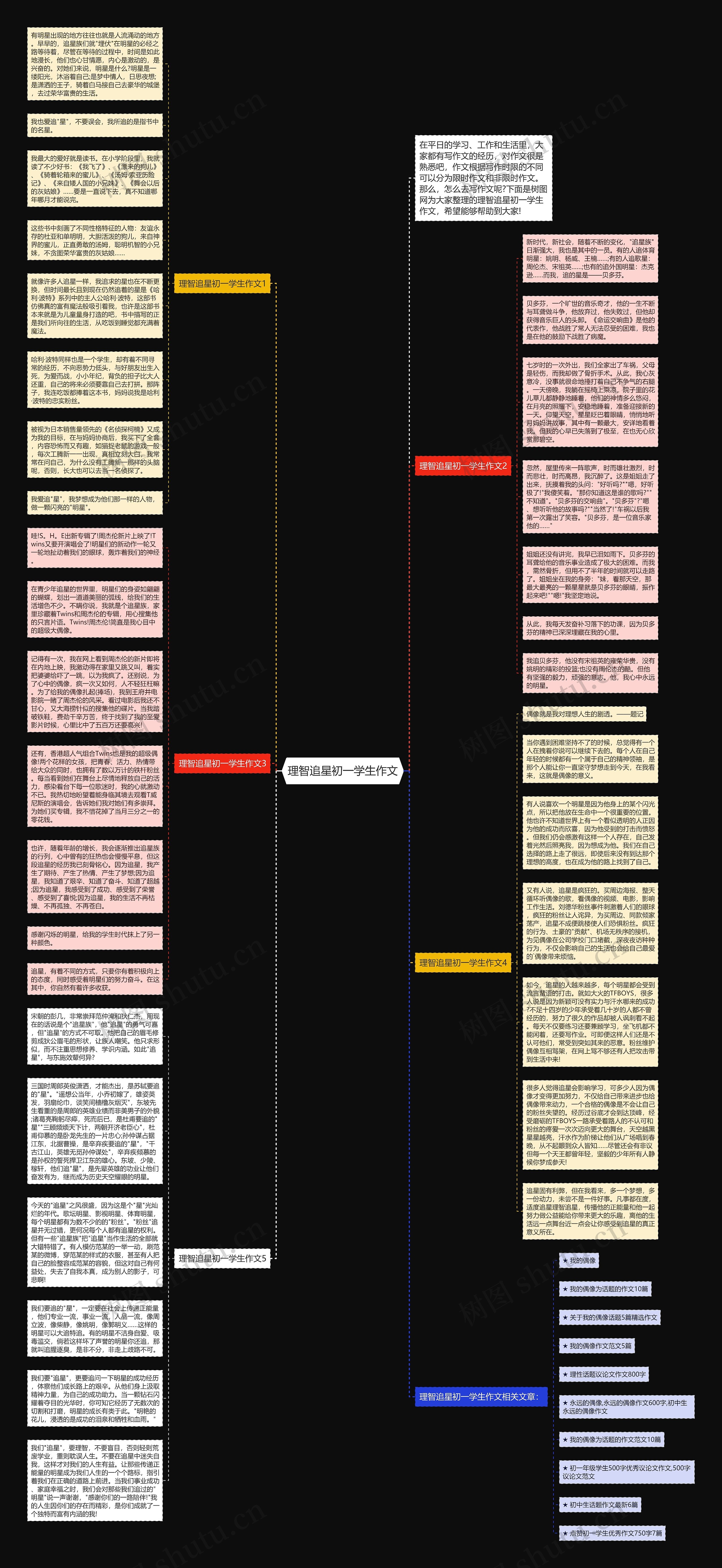 理智追星初一学生作文思维导图