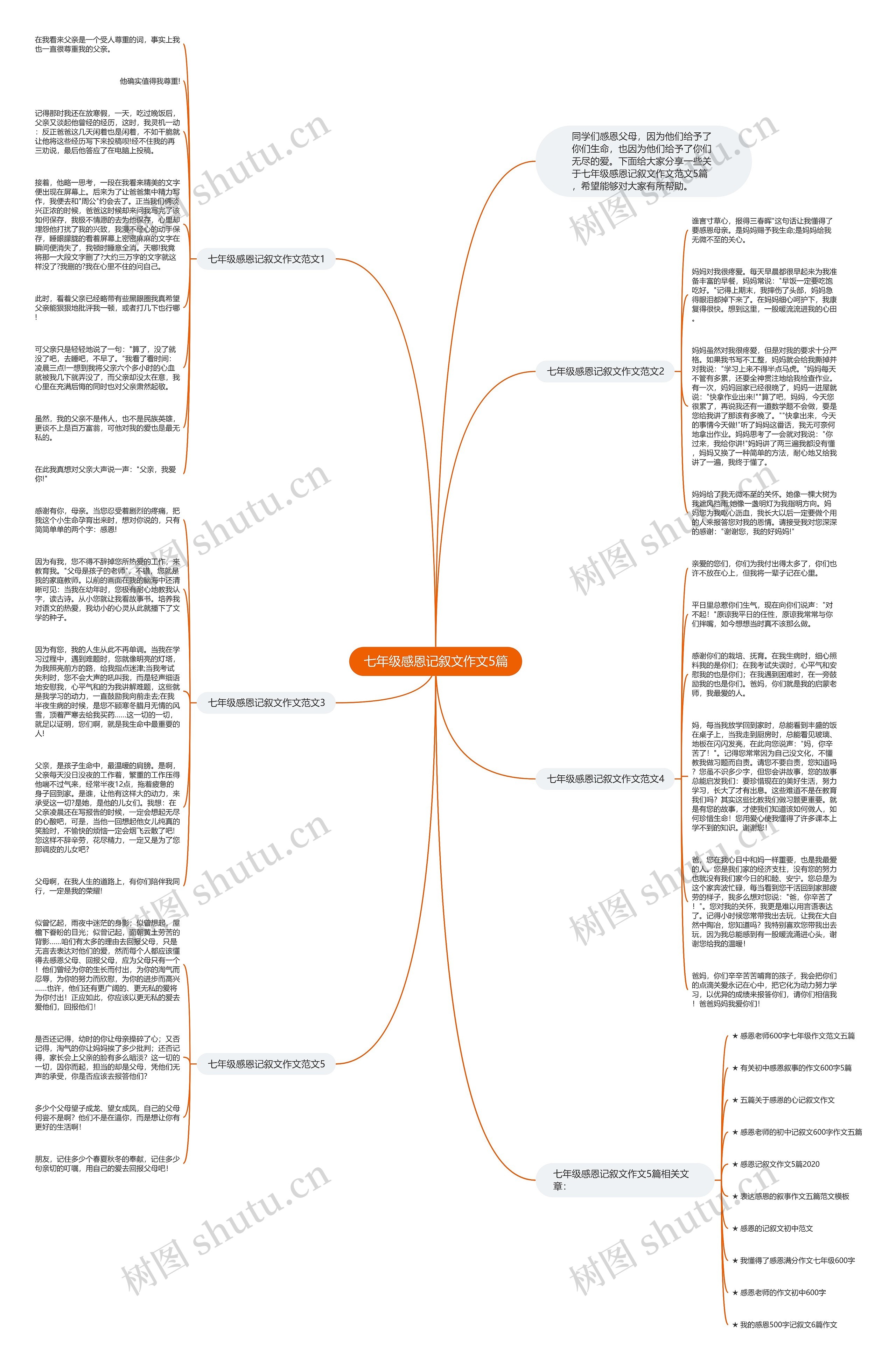 七年级感恩记叙文作文5篇思维导图
