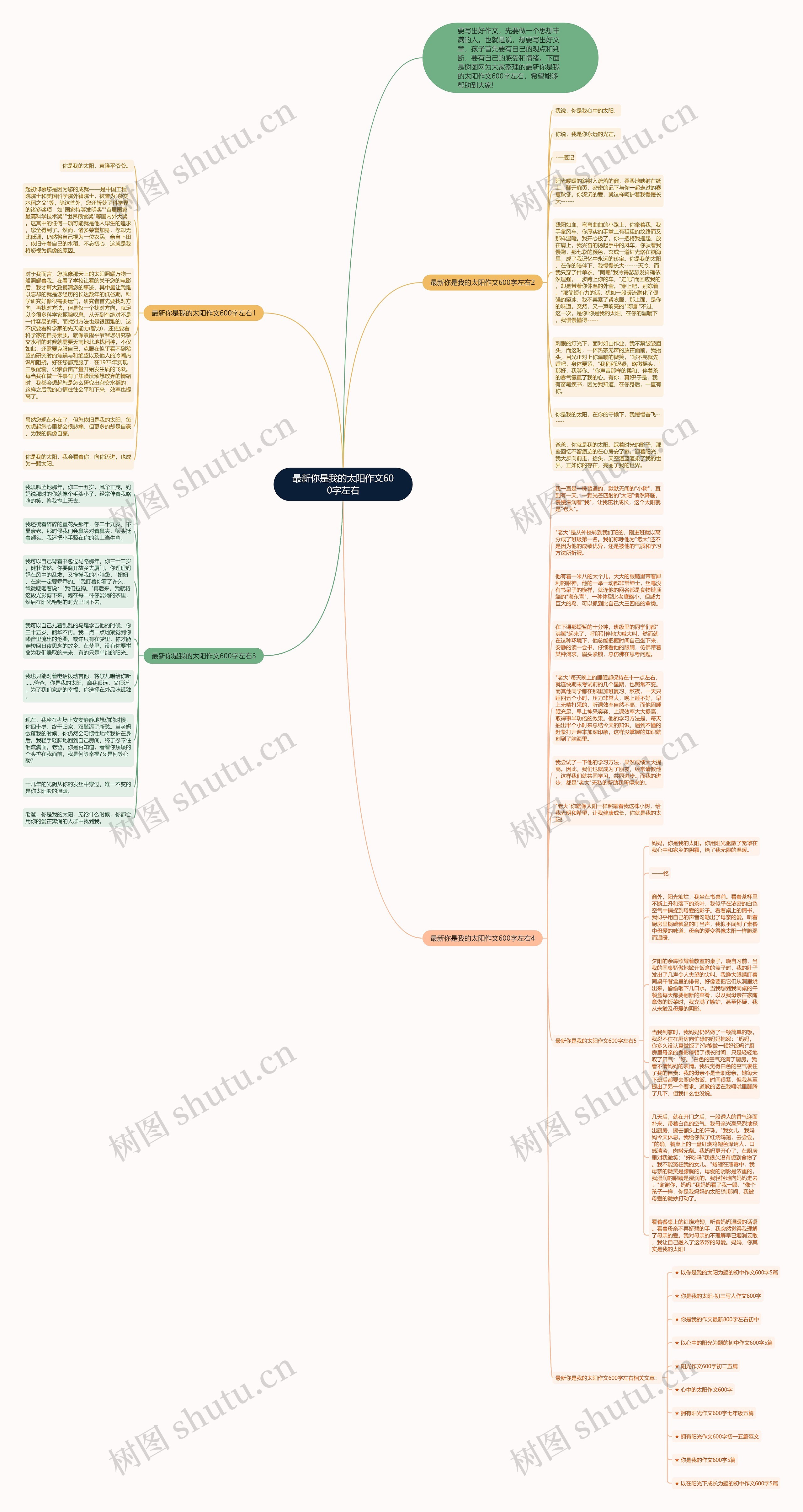 最新你是我的太阳作文600字左右思维导图