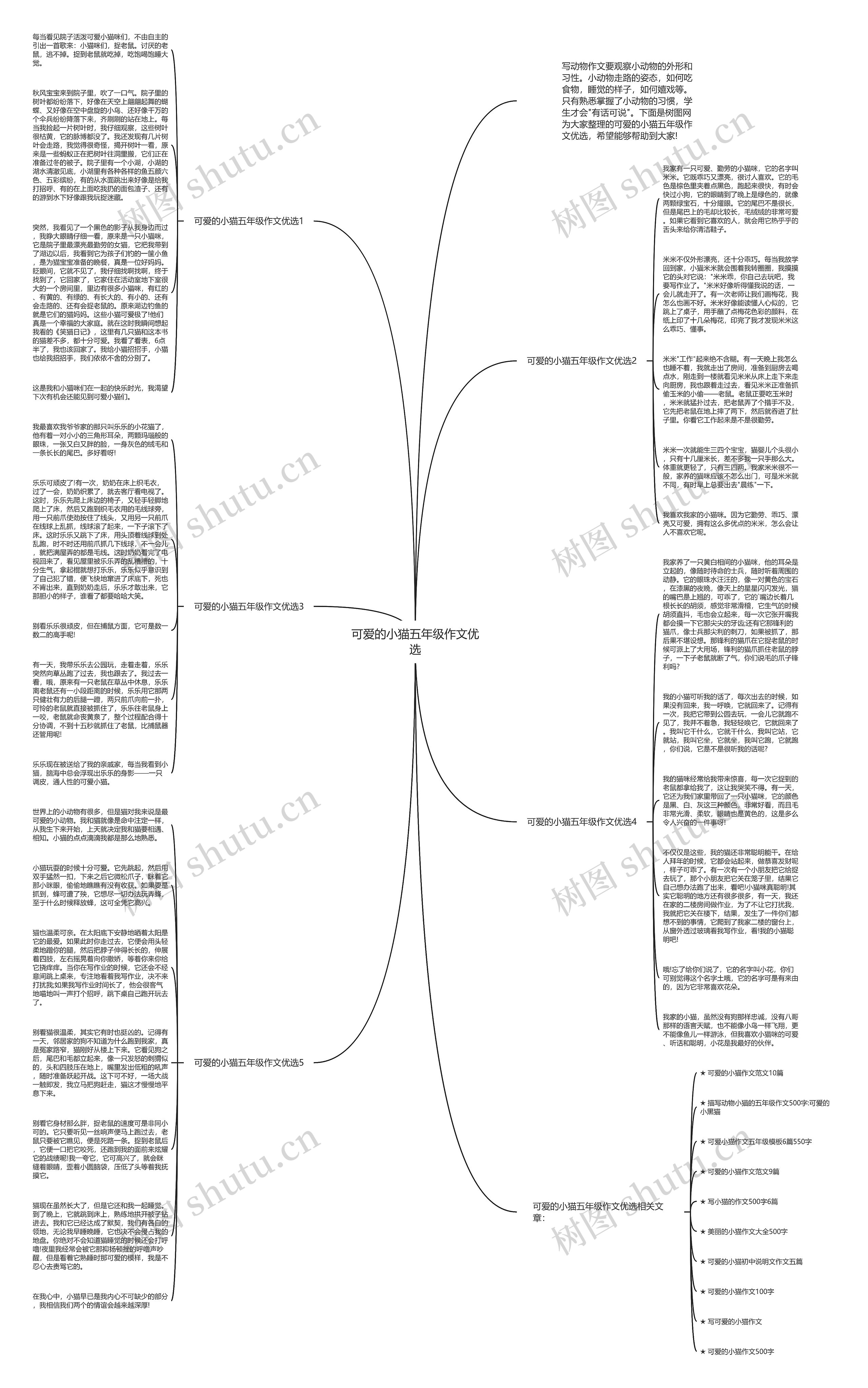 可爱的小猫五年级作文优选思维导图