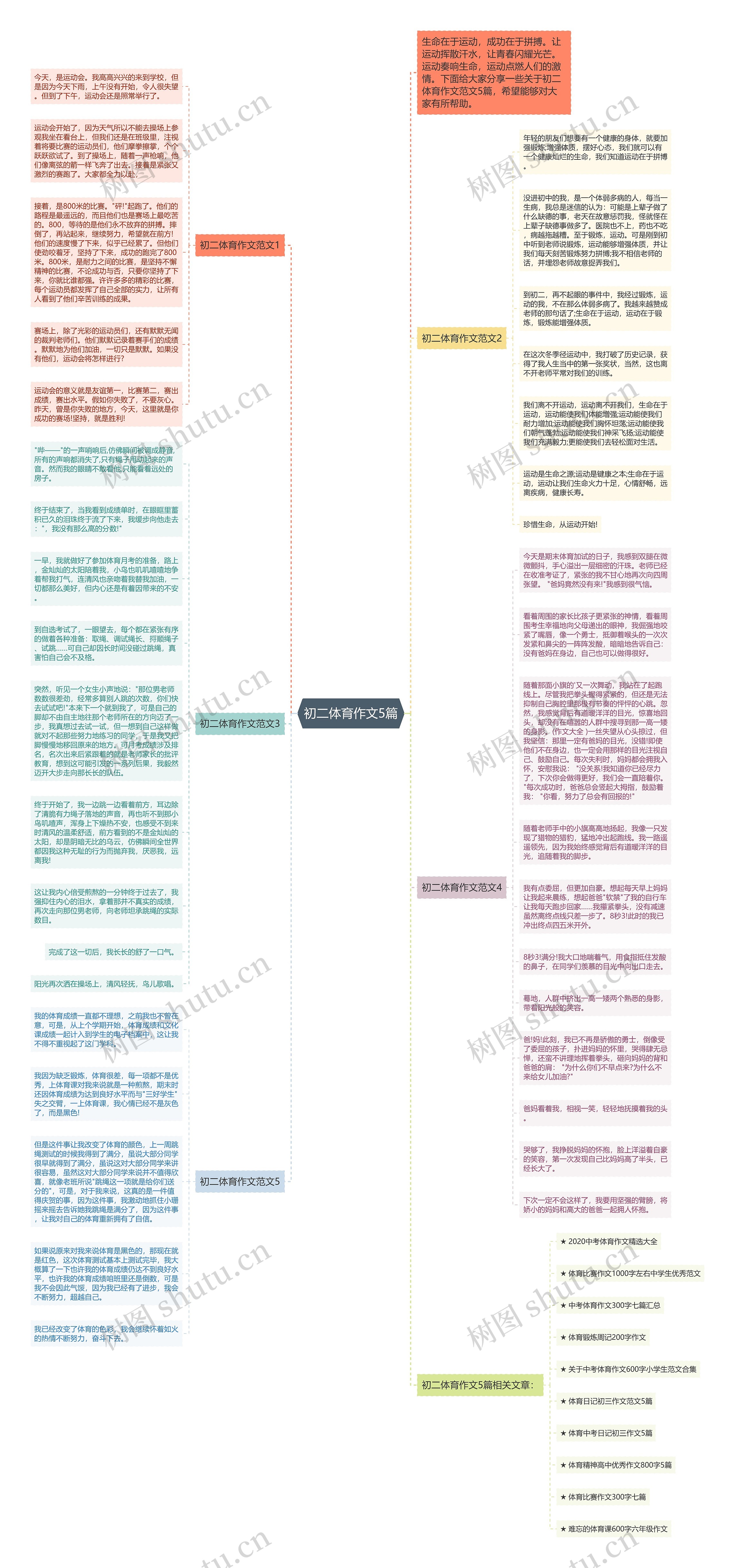 初二体育作文5篇思维导图