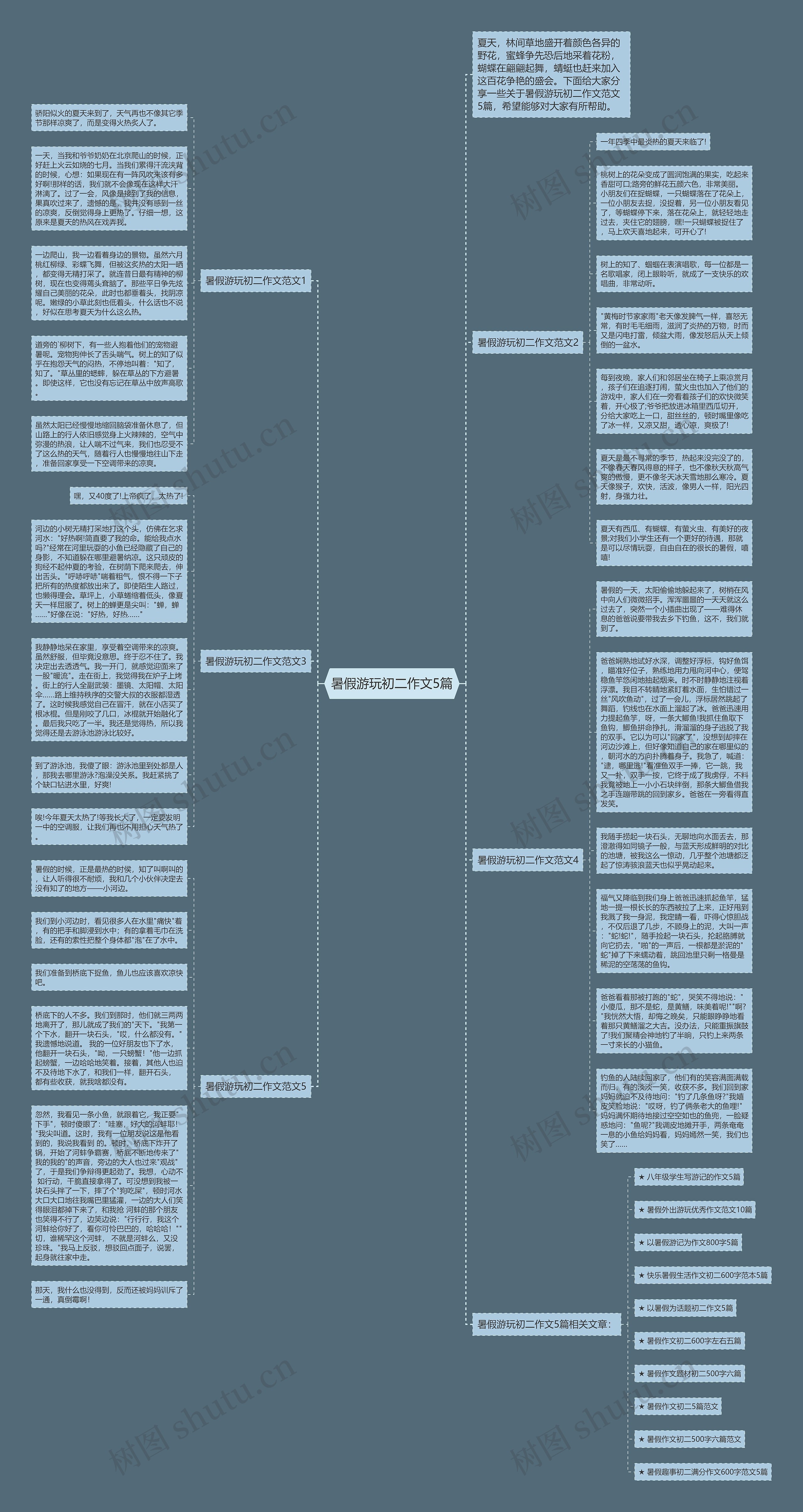 暑假游玩初二作文5篇思维导图