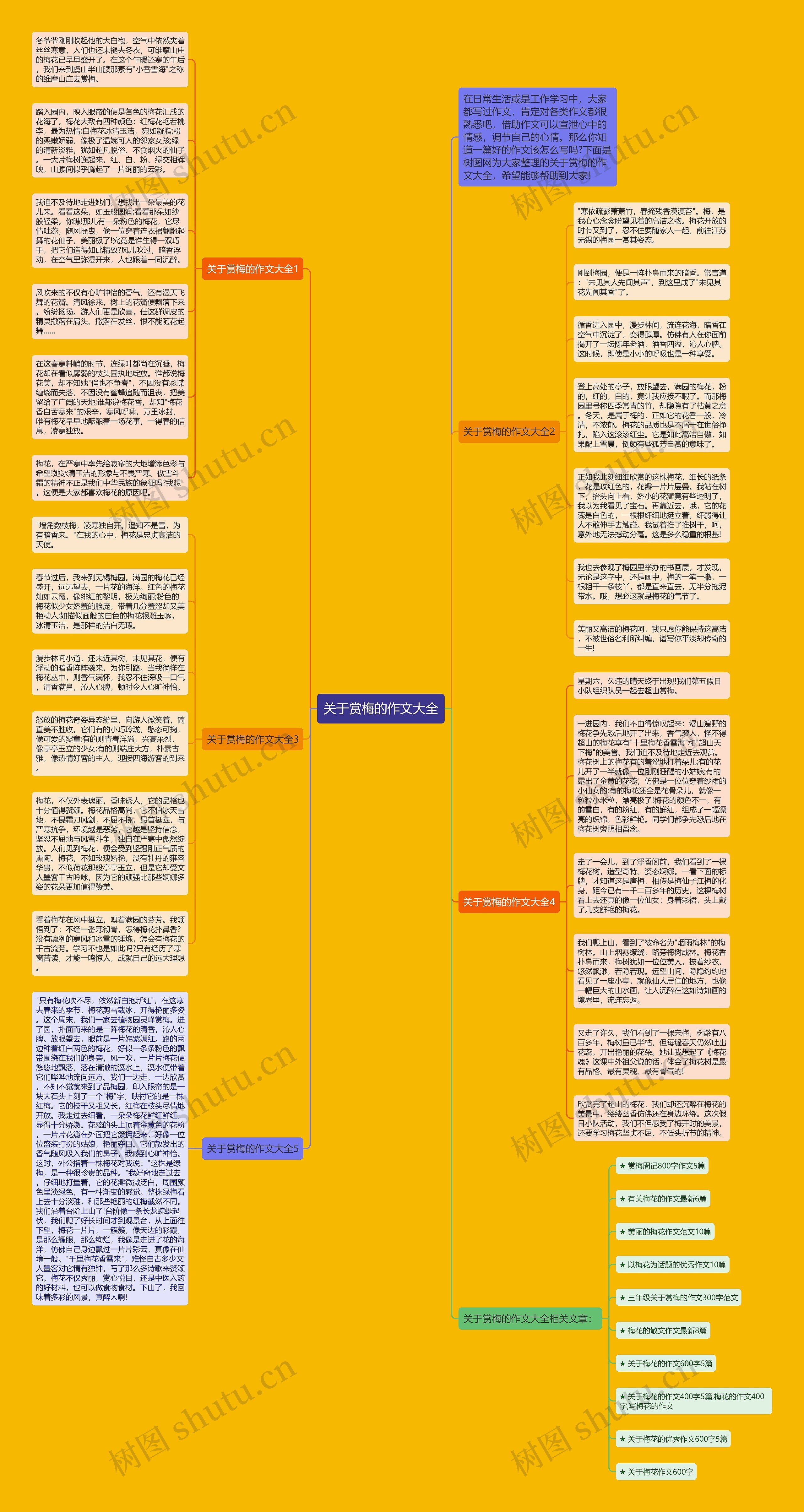 关于赏梅的作文大全思维导图