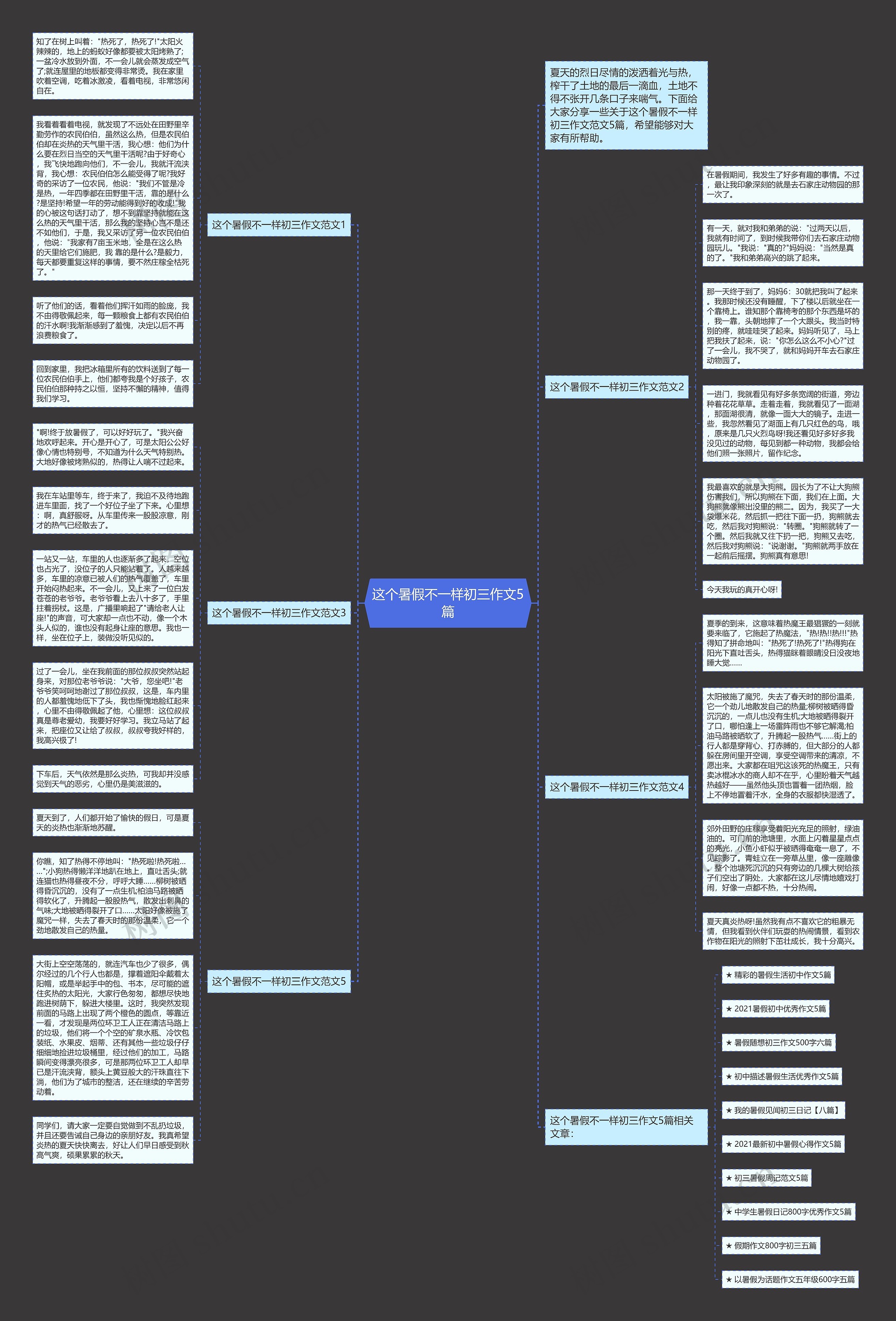 这个暑假不一样初三作文5篇思维导图