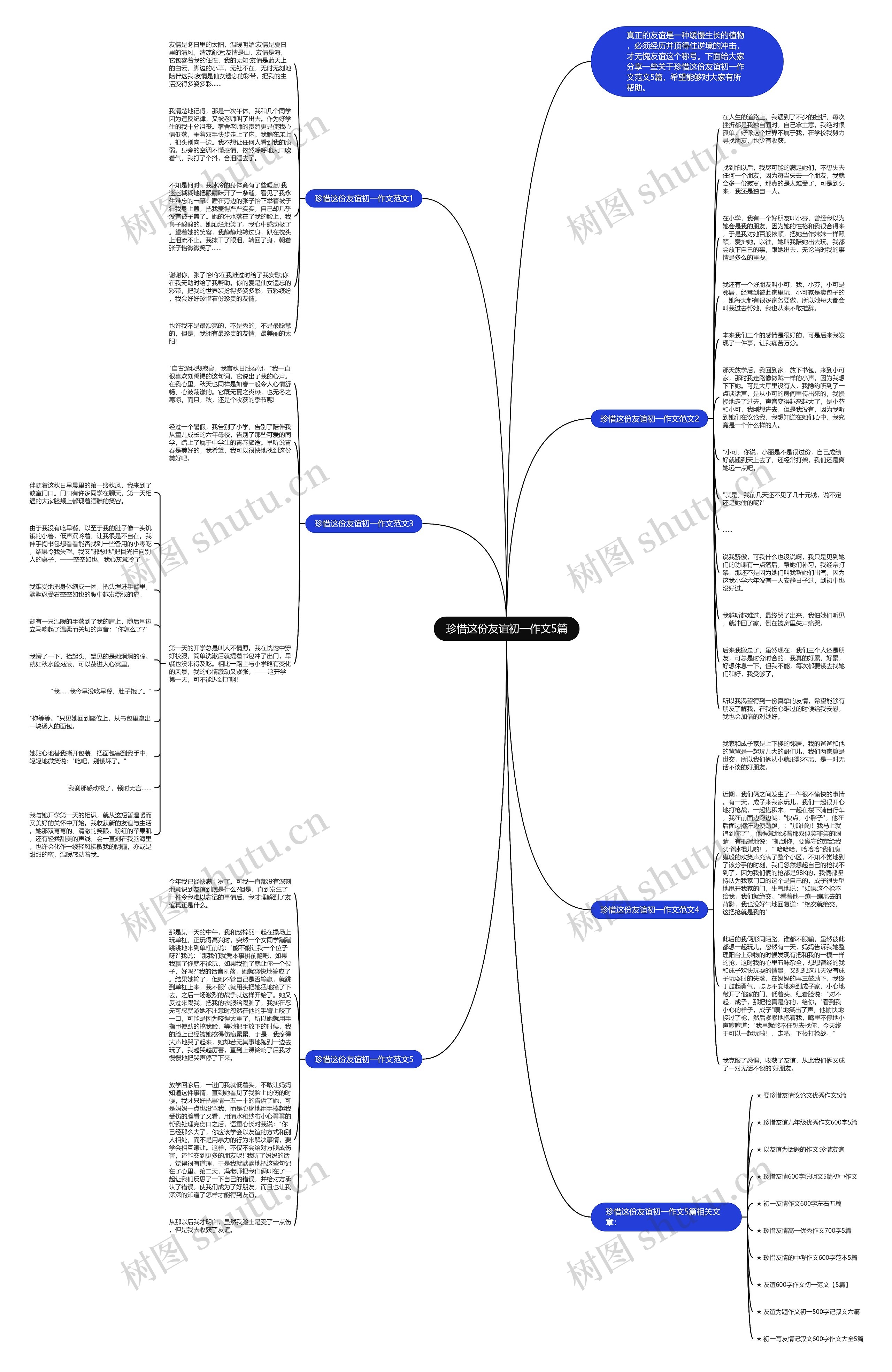 珍惜这份友谊初一作文5篇思维导图