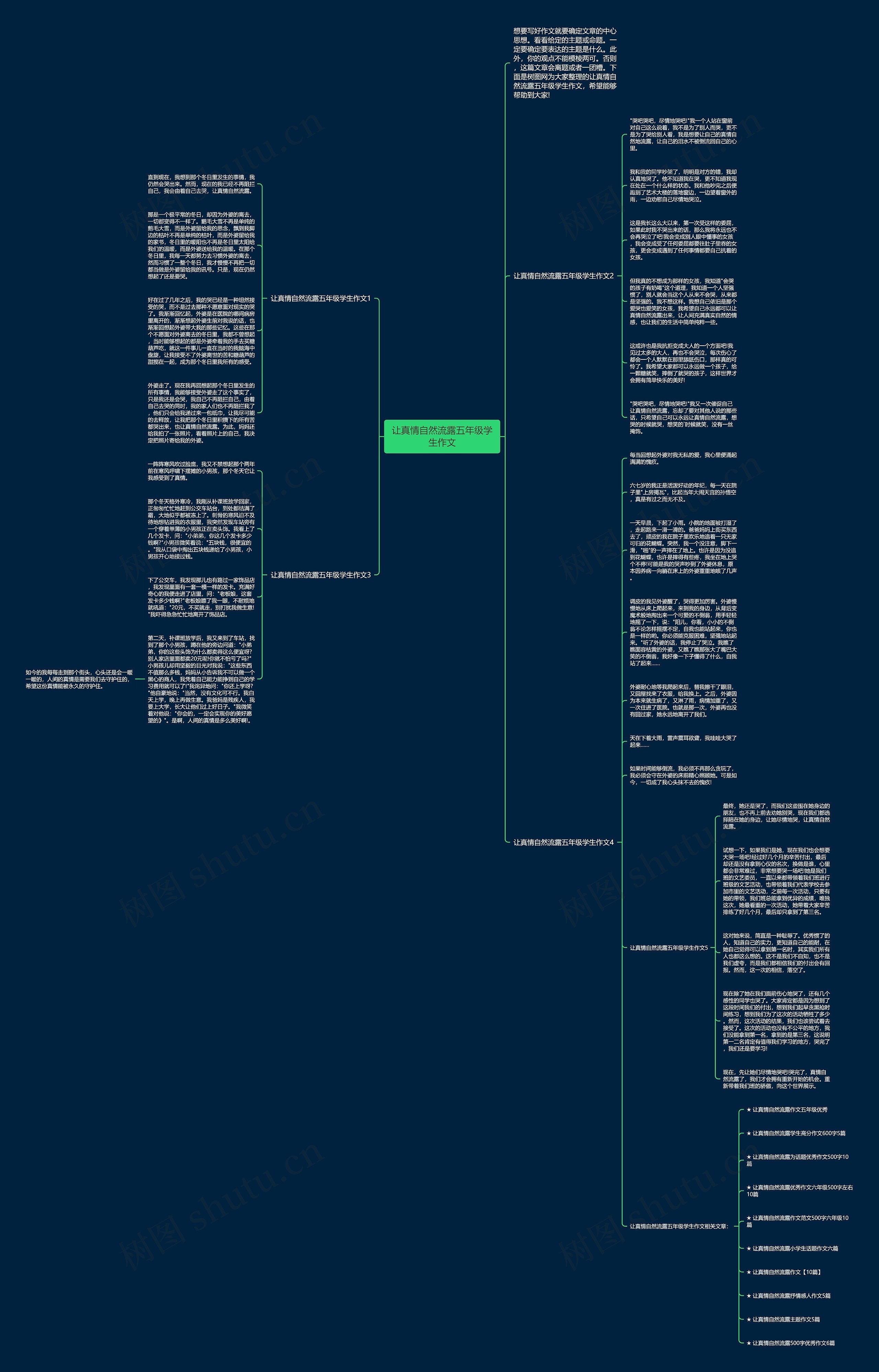 让真情自然流露五年级学生作文思维导图