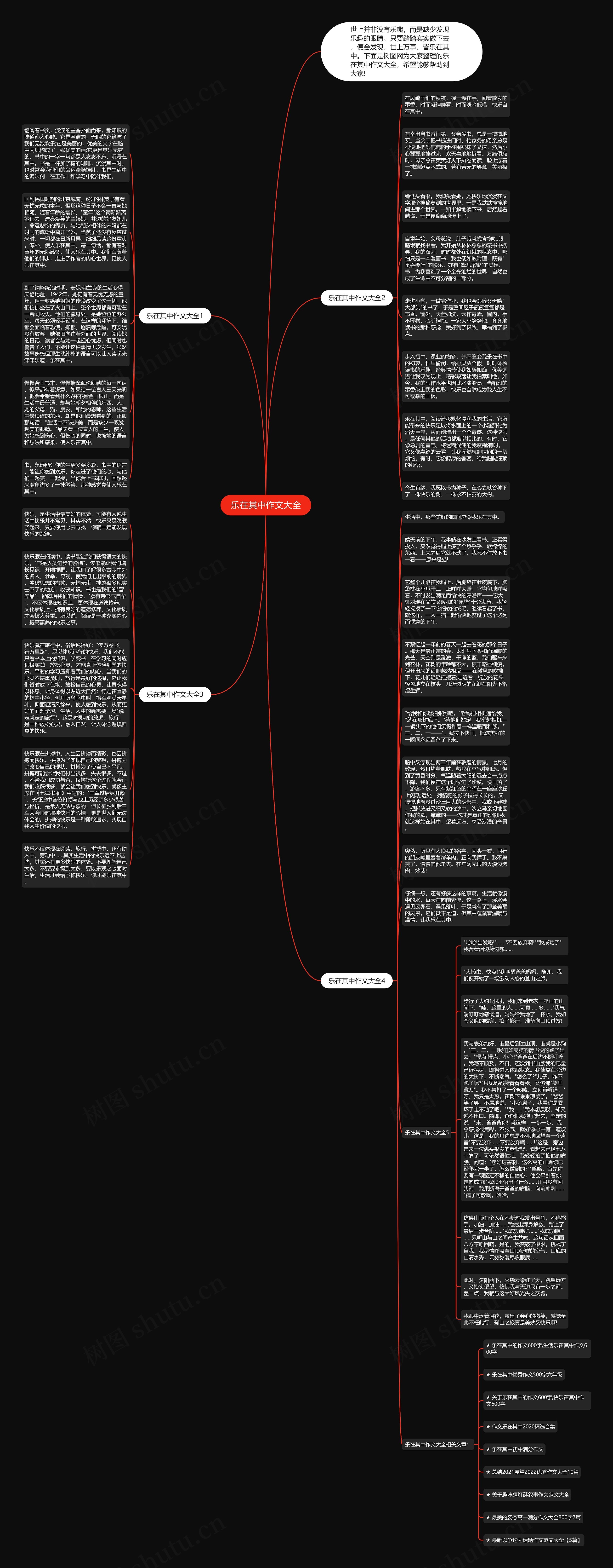 乐在其中作文大全思维导图