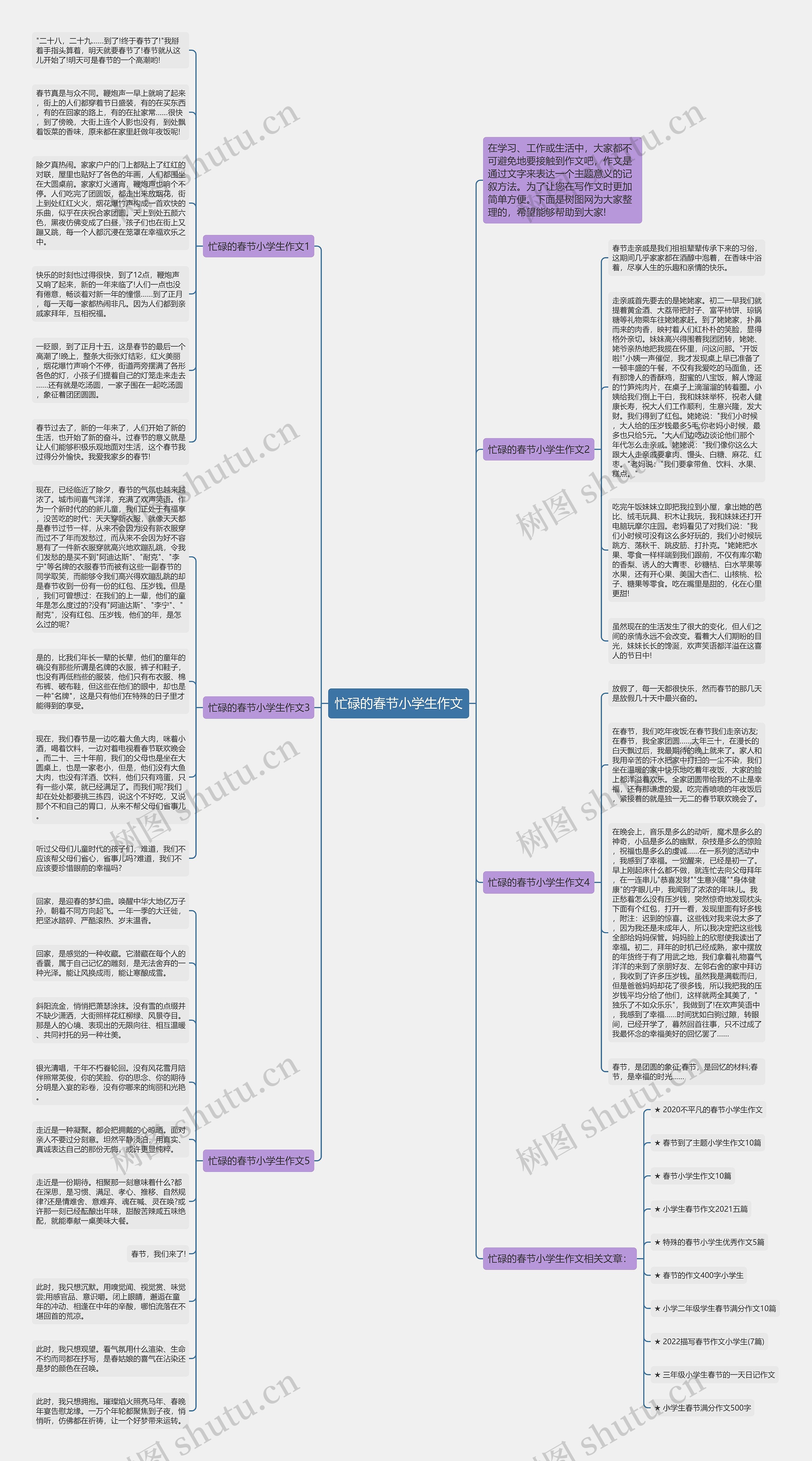 忙碌的春节小学生作文思维导图