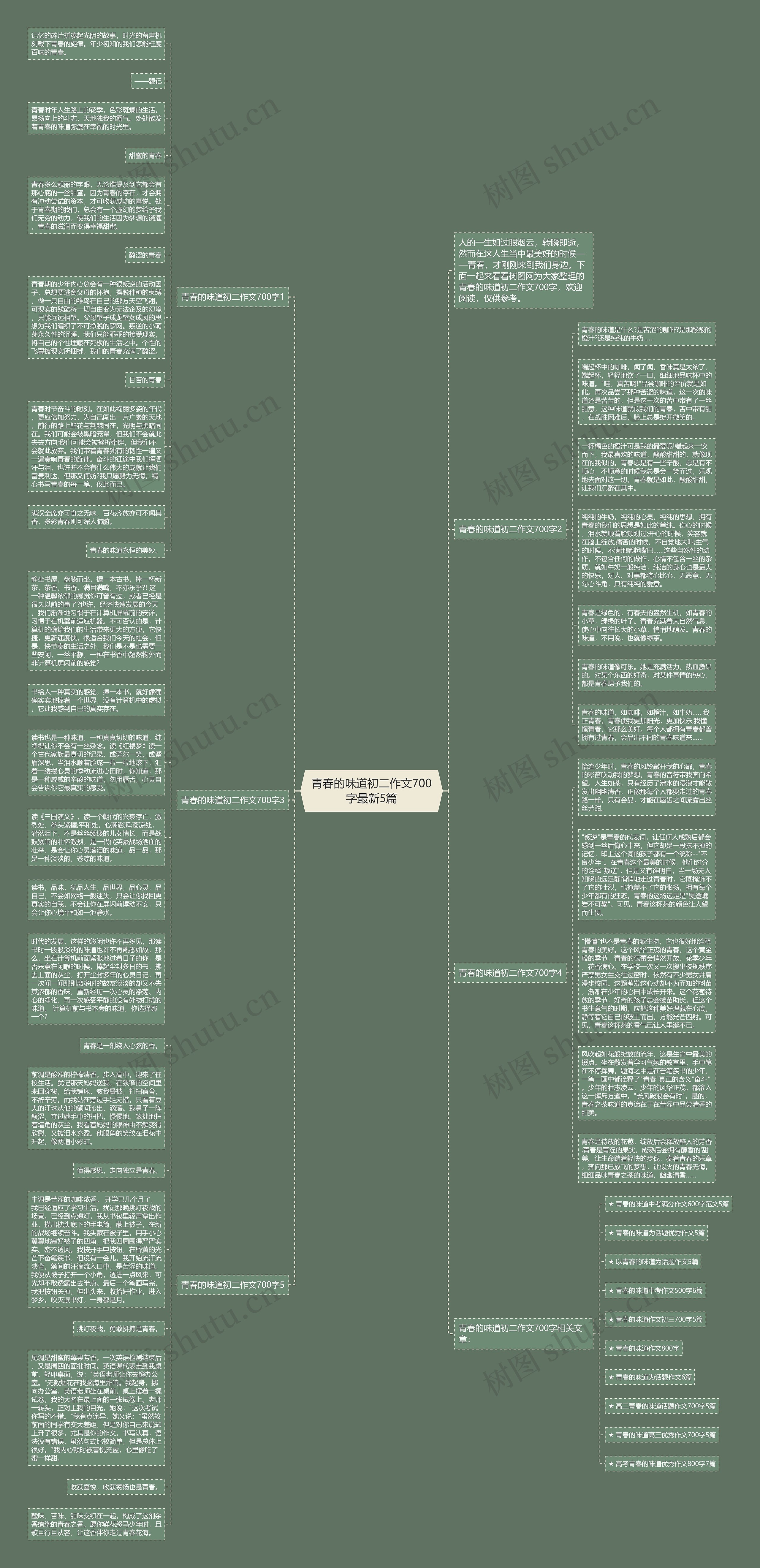青春的味道初二作文700字最新5篇思维导图