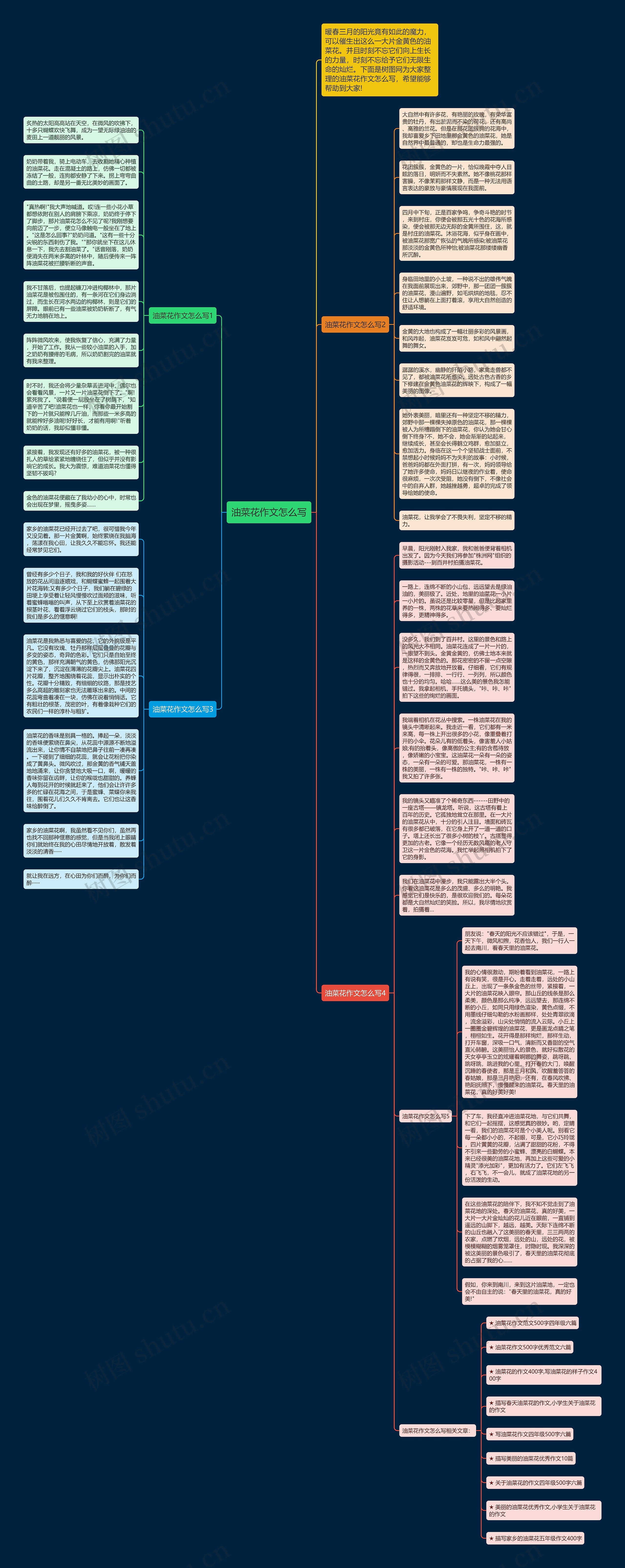 油菜花作文怎么写思维导图