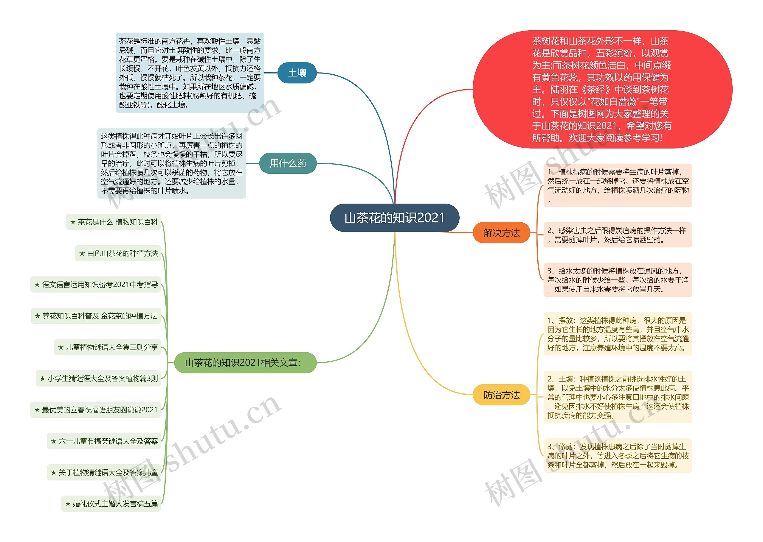 山茶花的知识2021思维导图