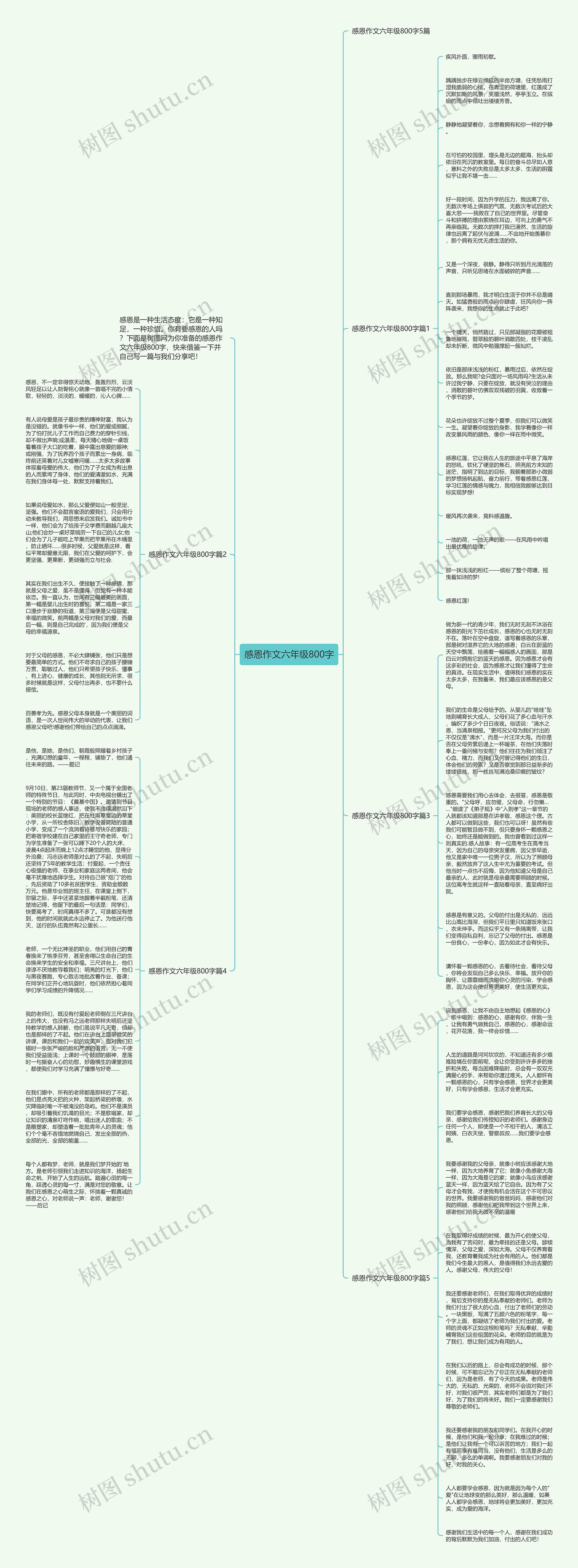 感恩作文六年级800字思维导图