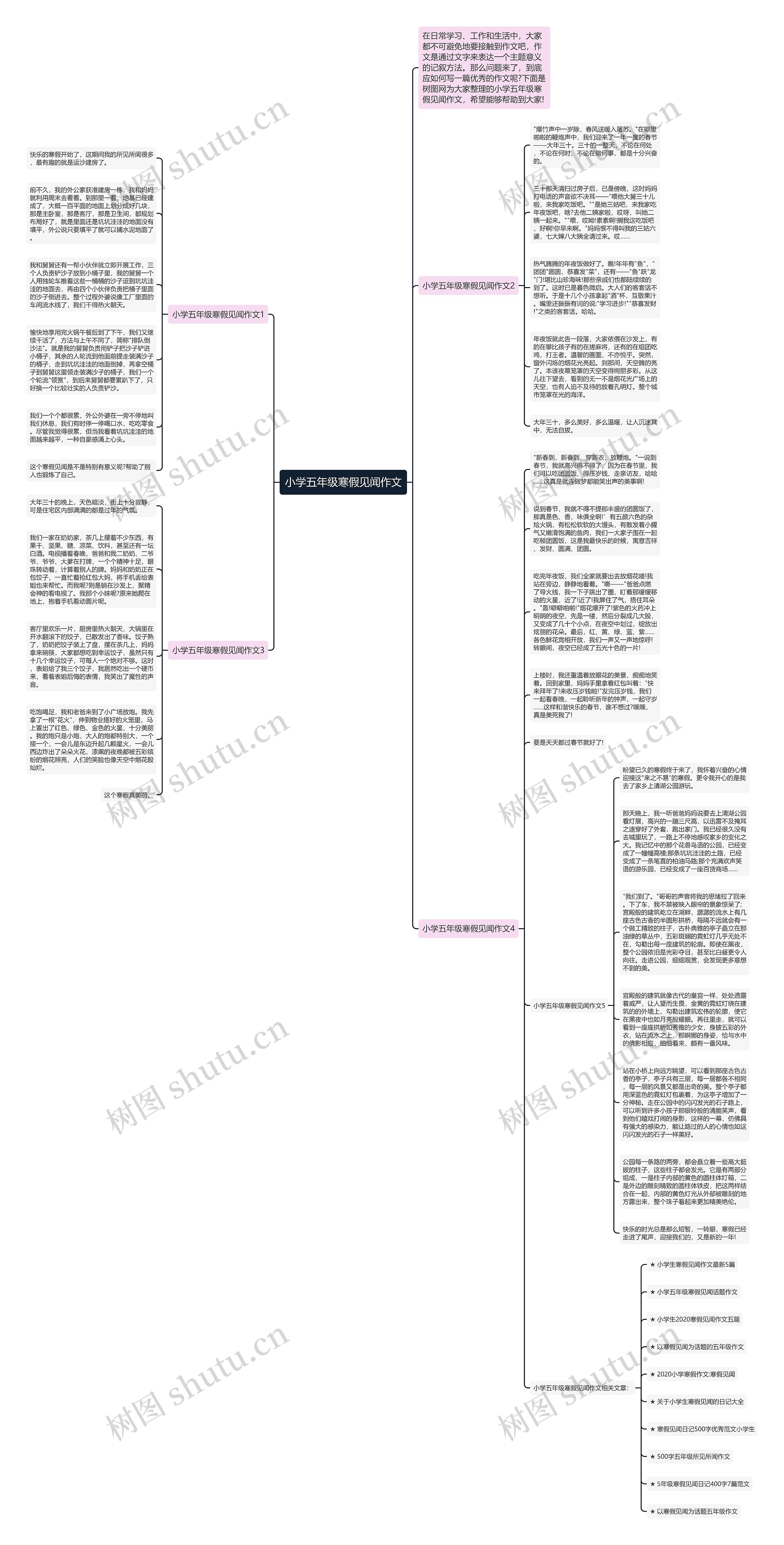 小学五年级寒假见闻作文思维导图