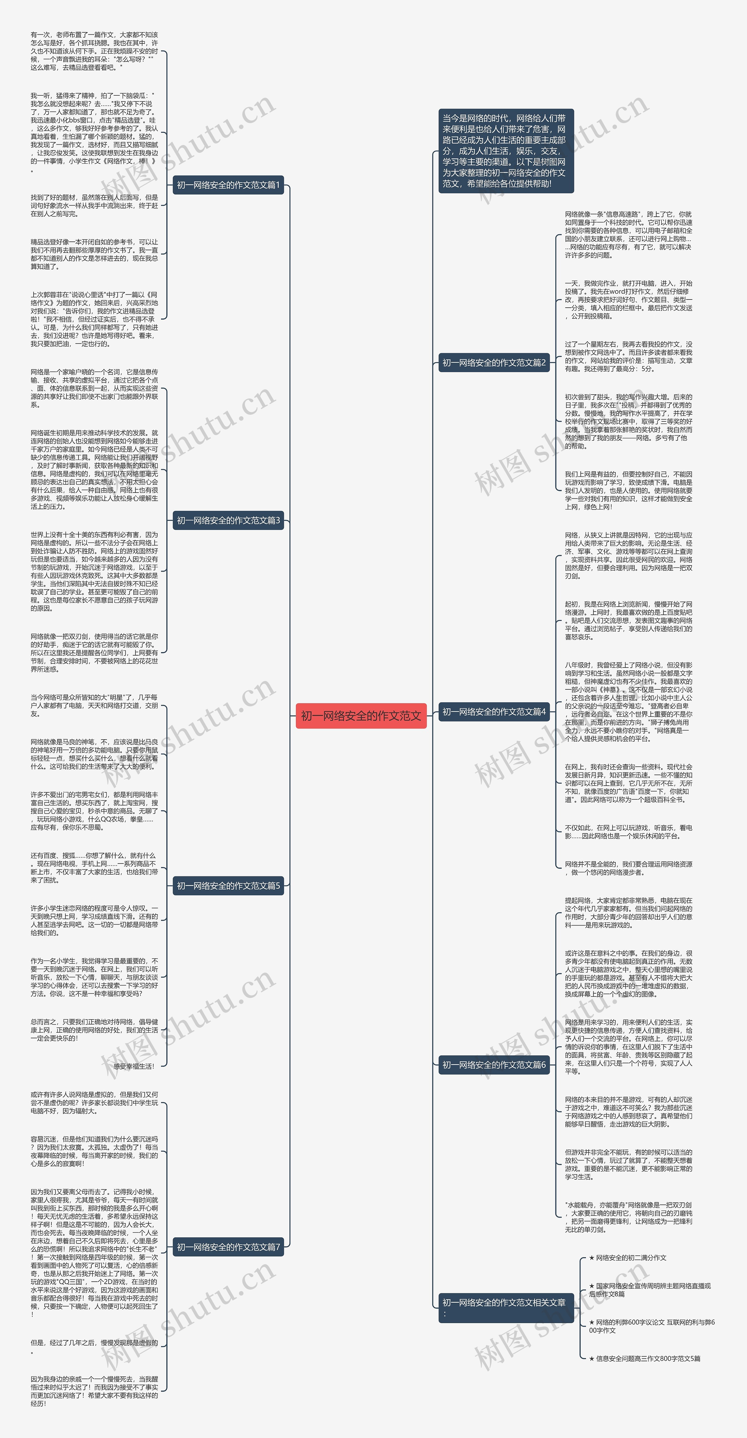 初一网络安全的作文范文