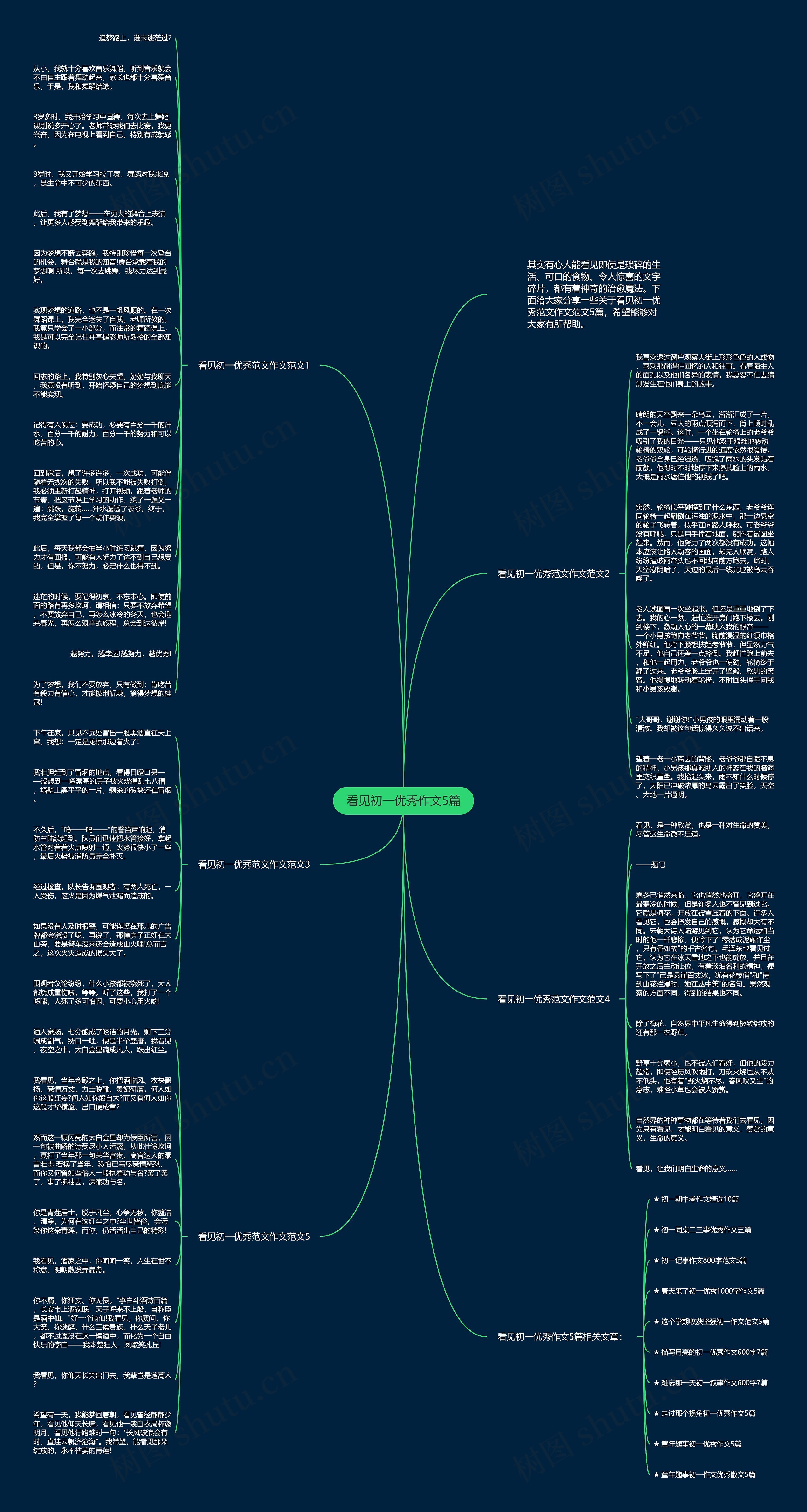 看见初一优秀作文5篇思维导图