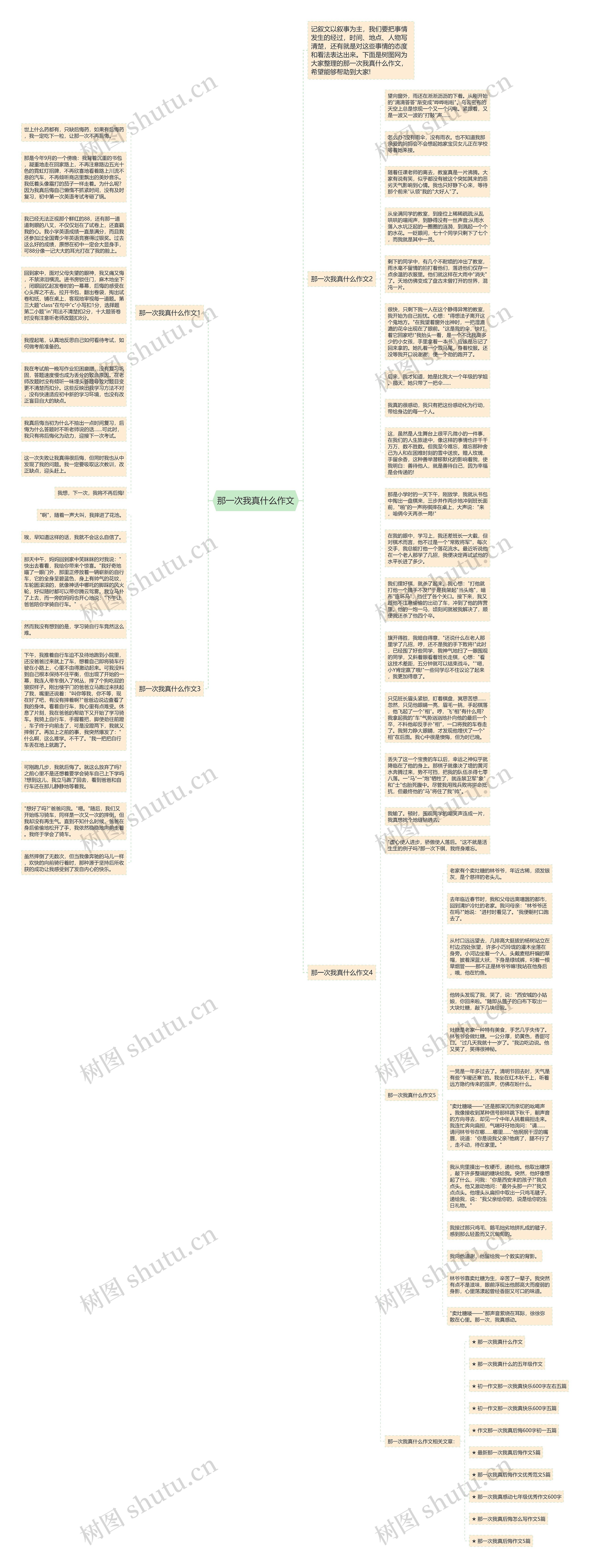 那一次我真什么作文思维导图