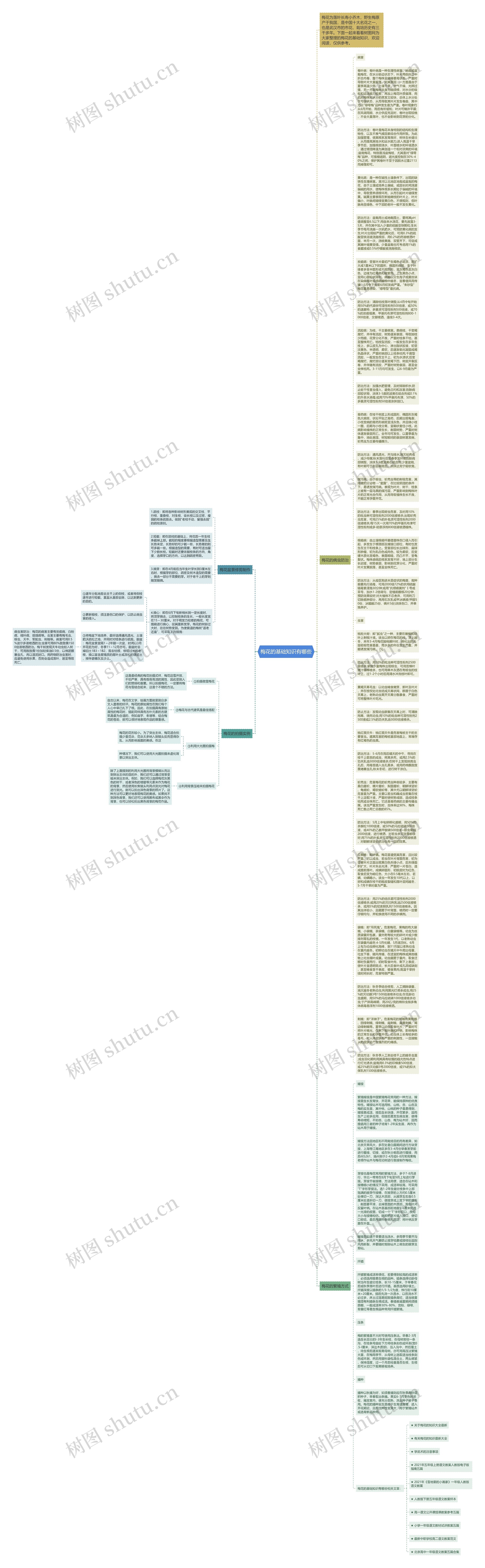 梅花的基础知识有哪些思维导图