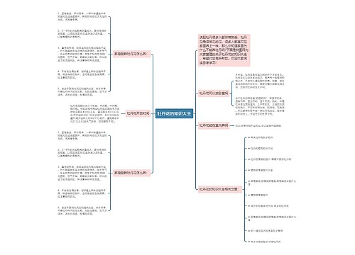 牡丹花的知识大全