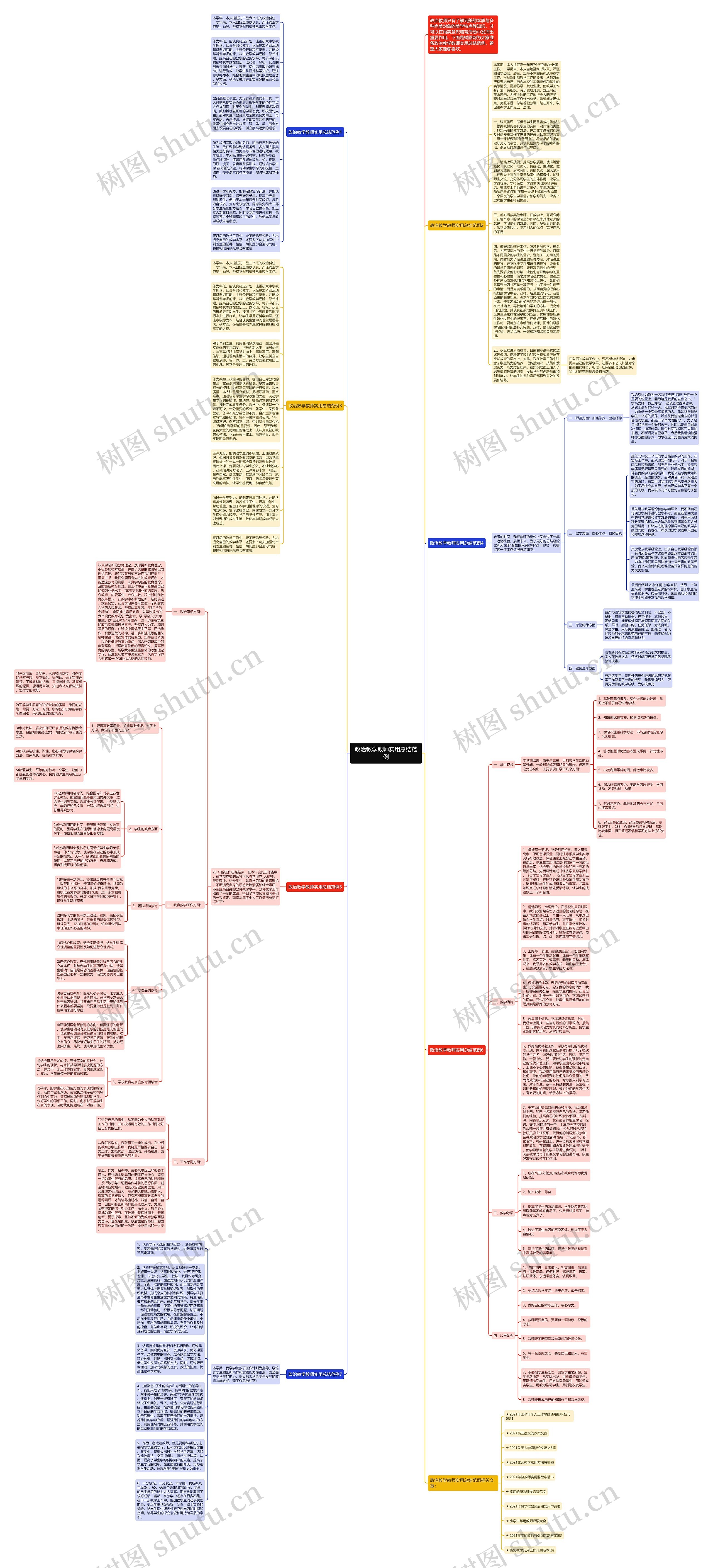 政治教学教师实用总结范例思维导图