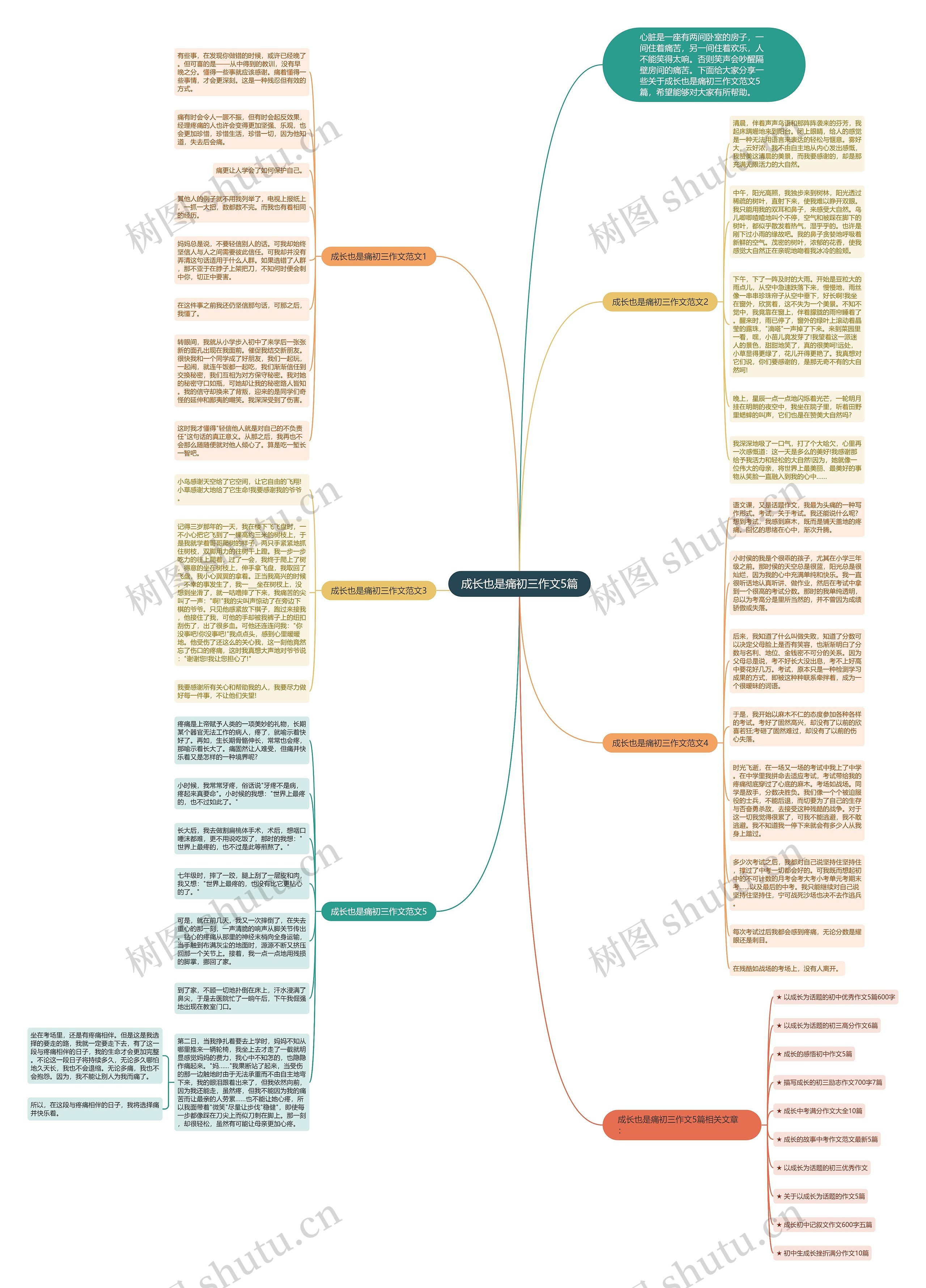 成长也是痛初三作文5篇思维导图