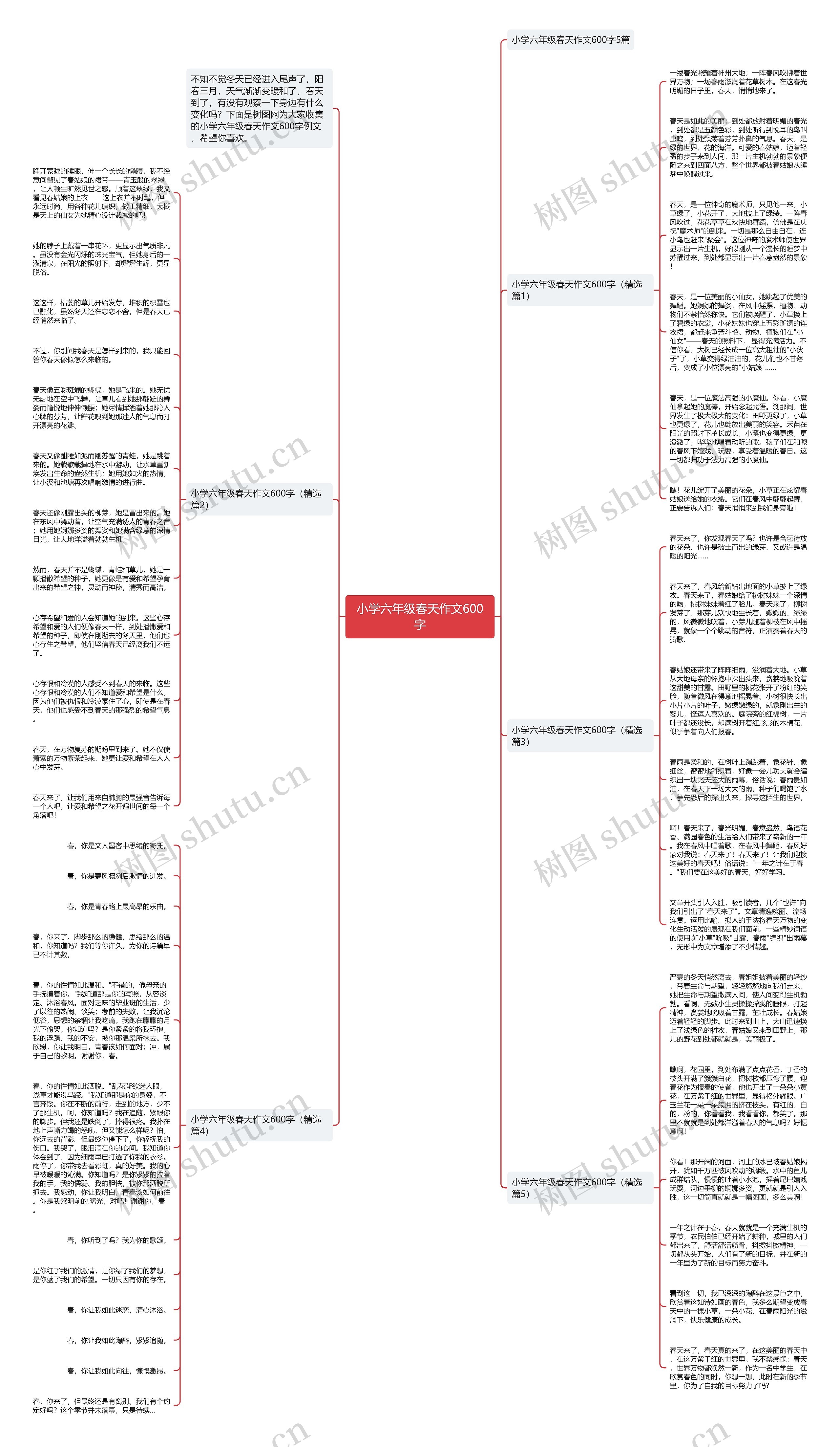 小学六年级春天作文600字思维导图