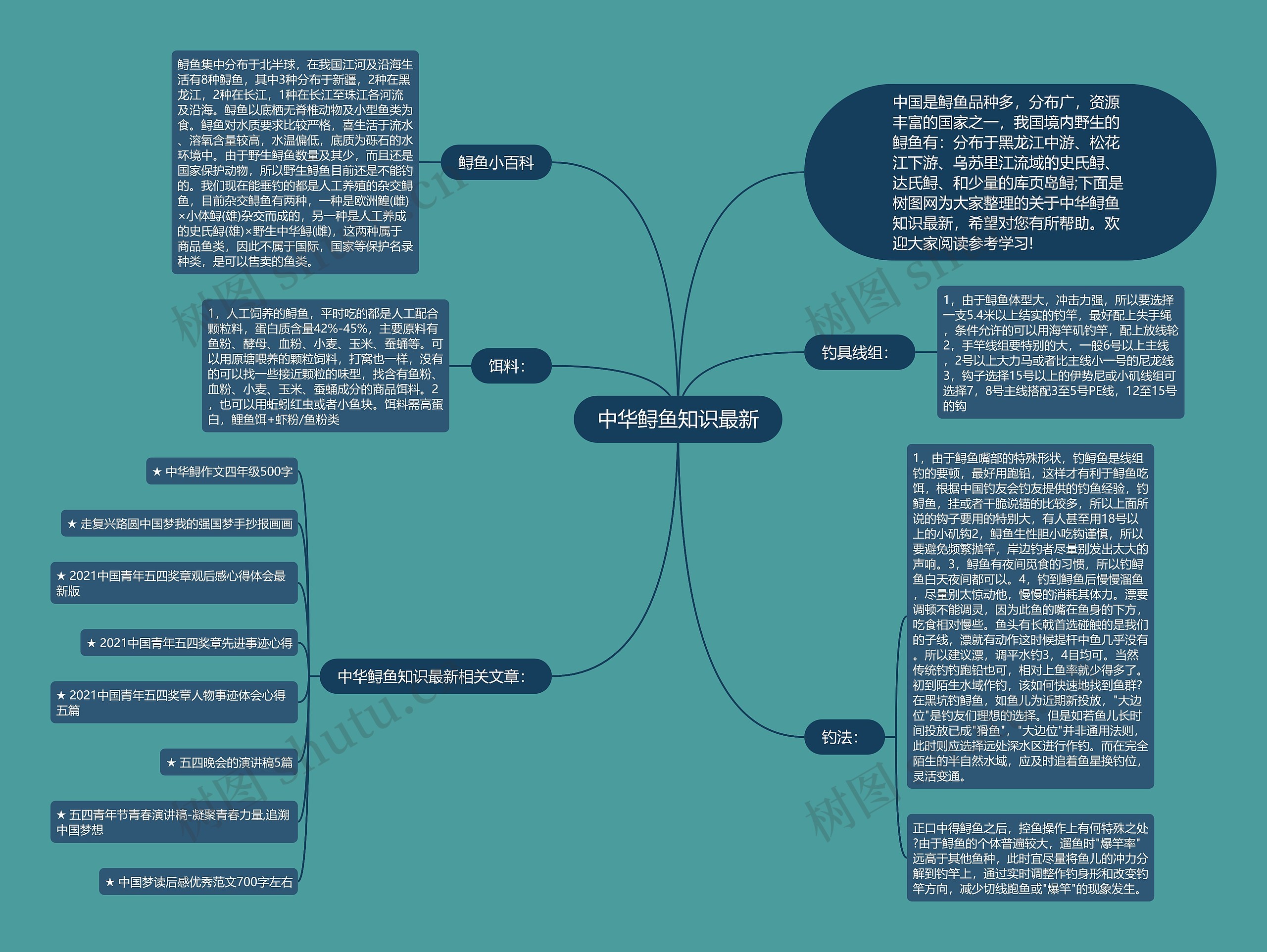 中华鲟鱼知识最新思维导图