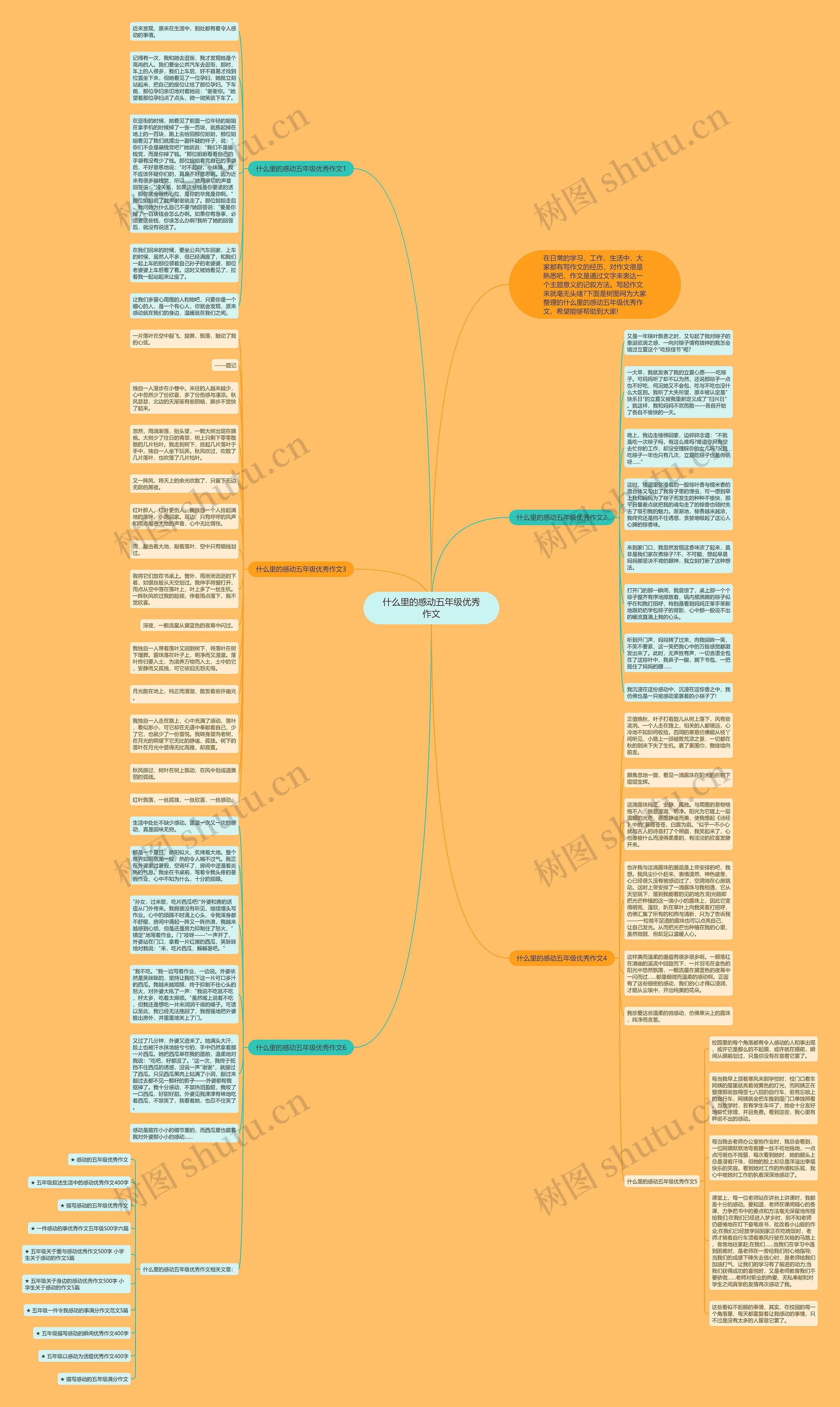 什么里的感动五年级优秀作文