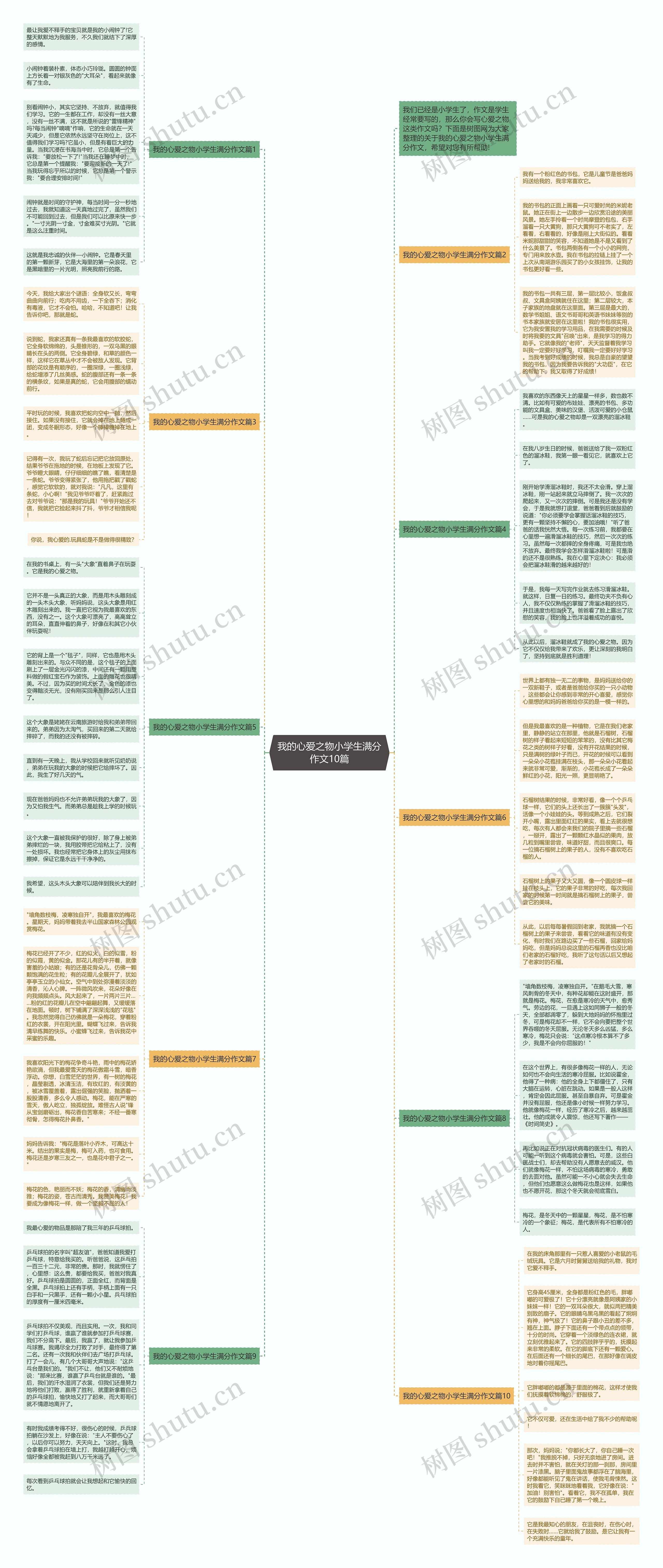 我的心爱之物小学生满分作文10篇思维导图