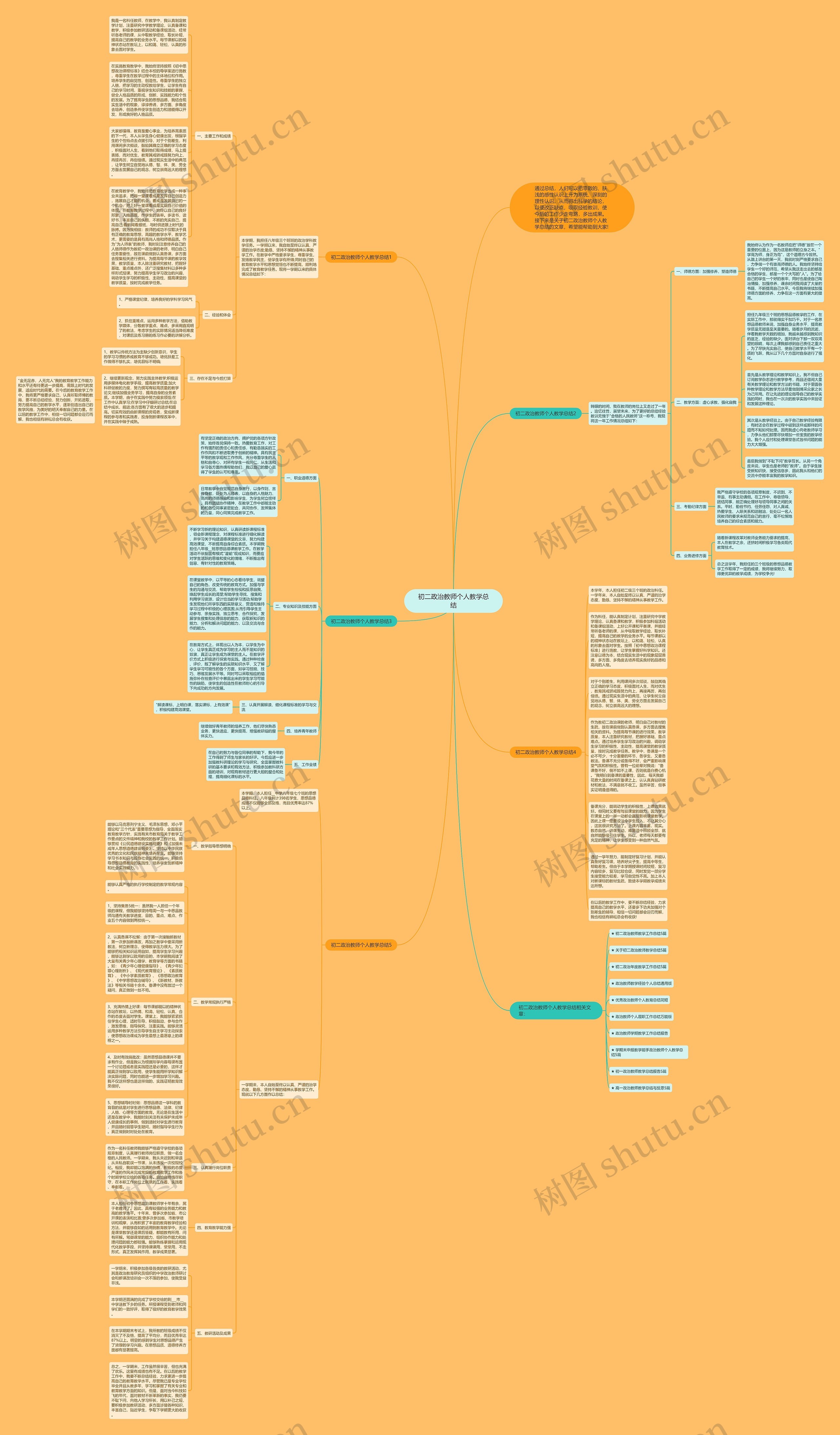 初二政治教师个人教学总结思维导图
