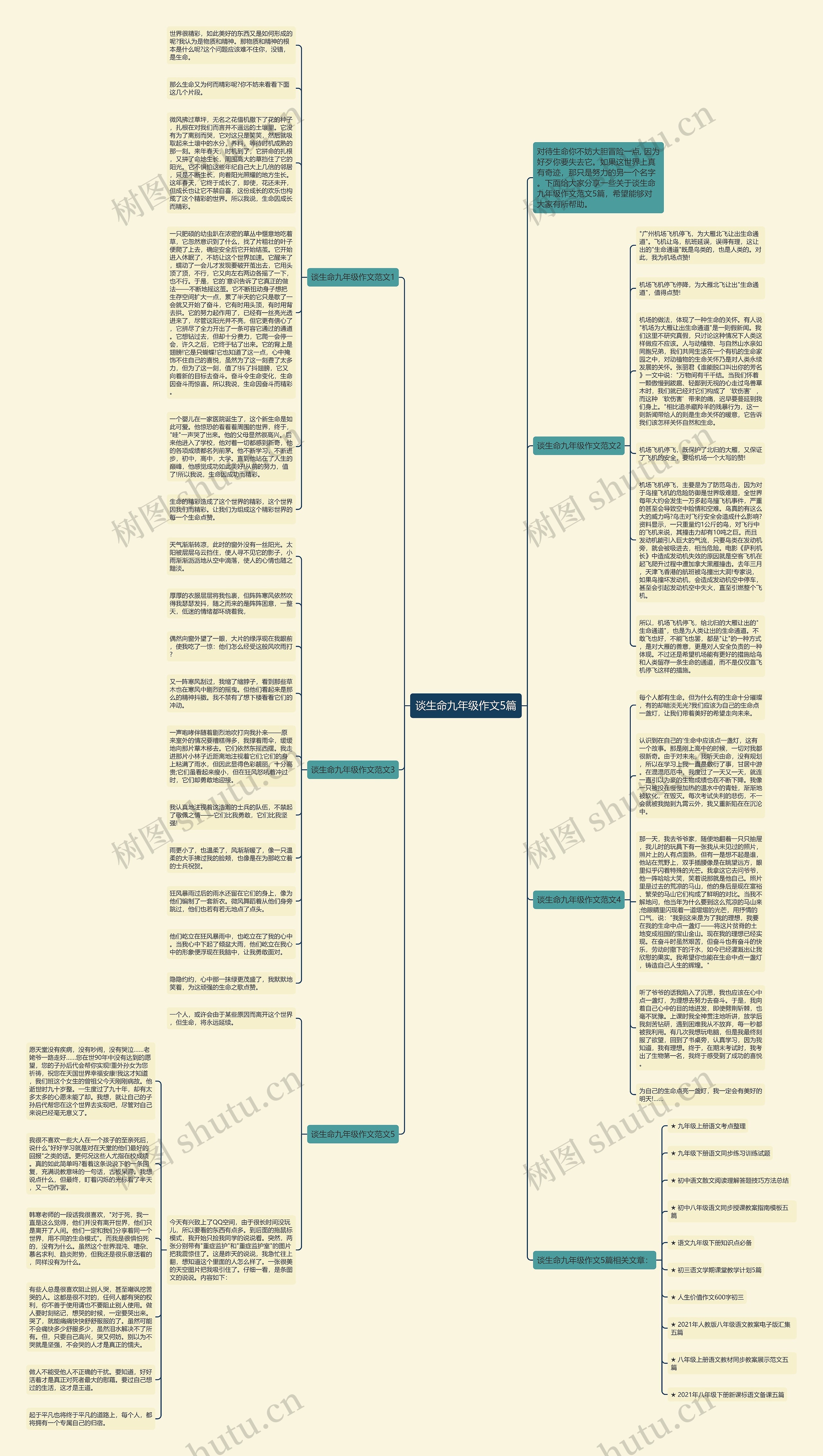 谈生命九年级作文5篇思维导图