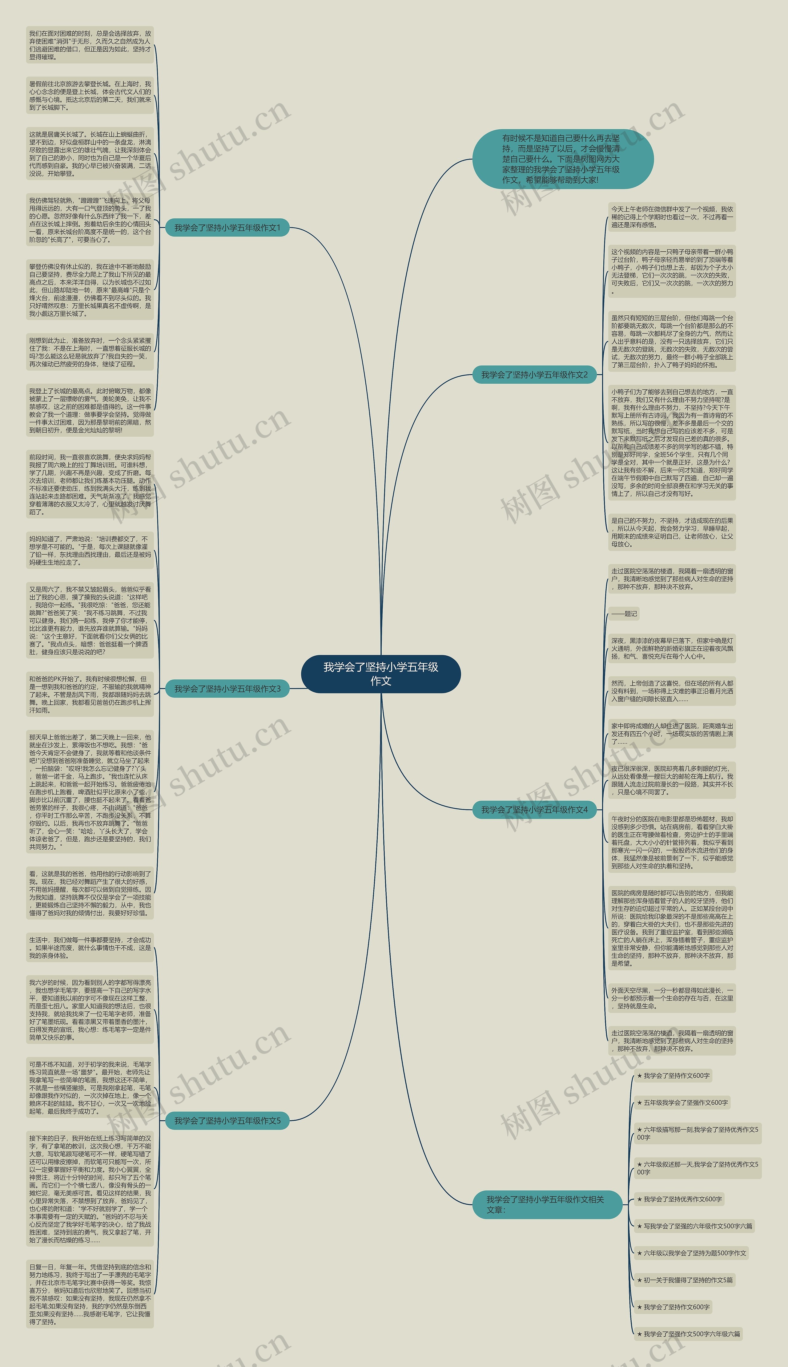 我学会了坚持小学五年级作文思维导图