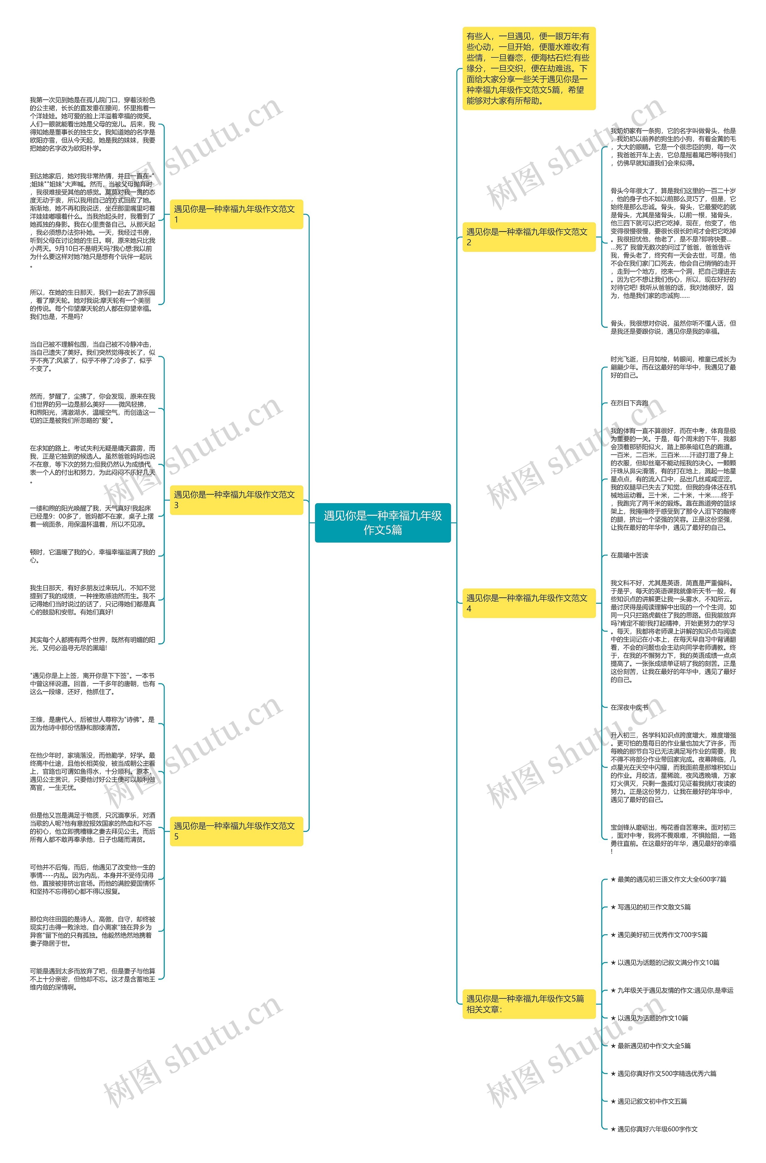 遇见你是一种幸福九年级作文5篇思维导图
