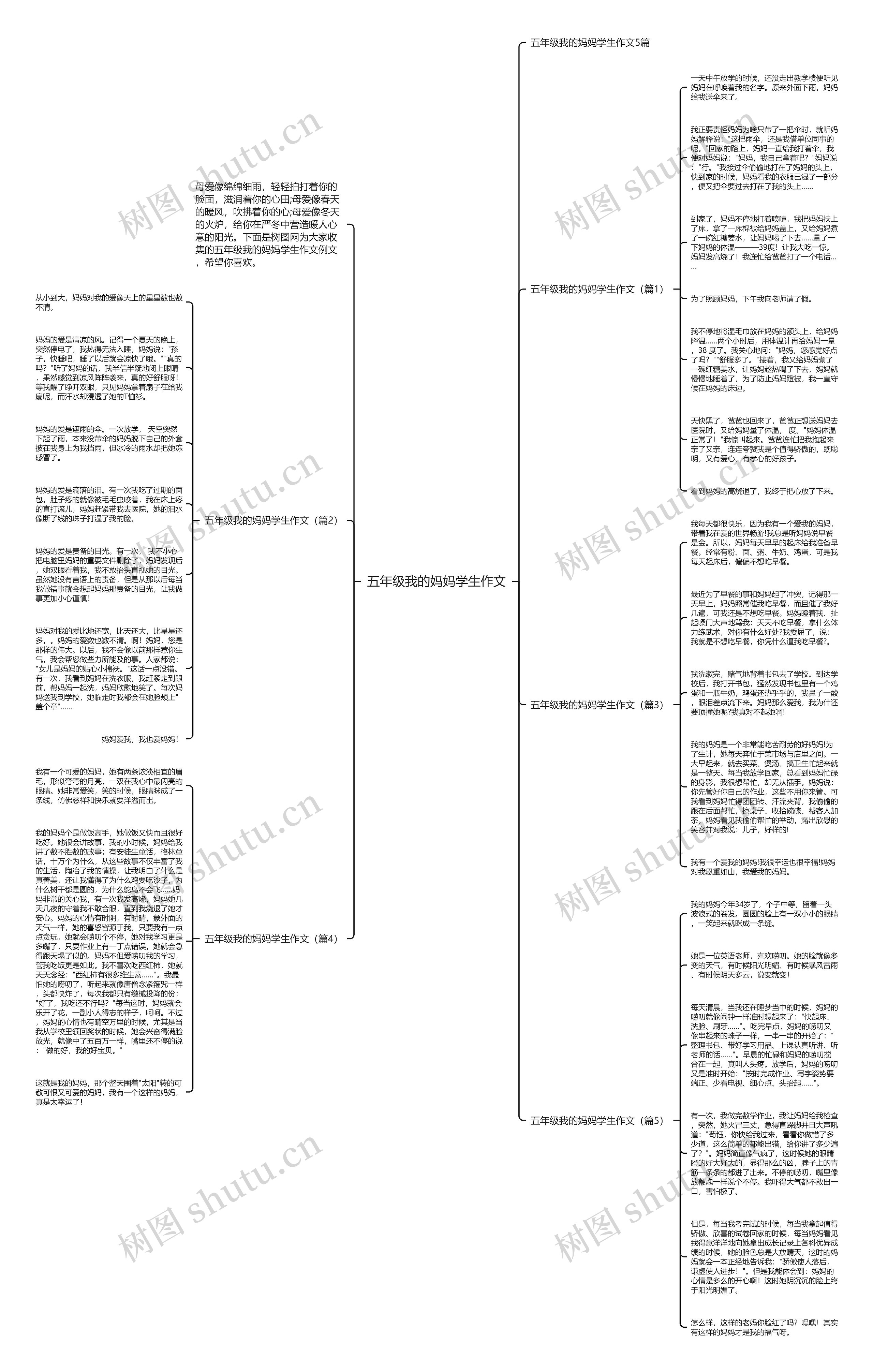 五年级我的妈妈学生作文思维导图