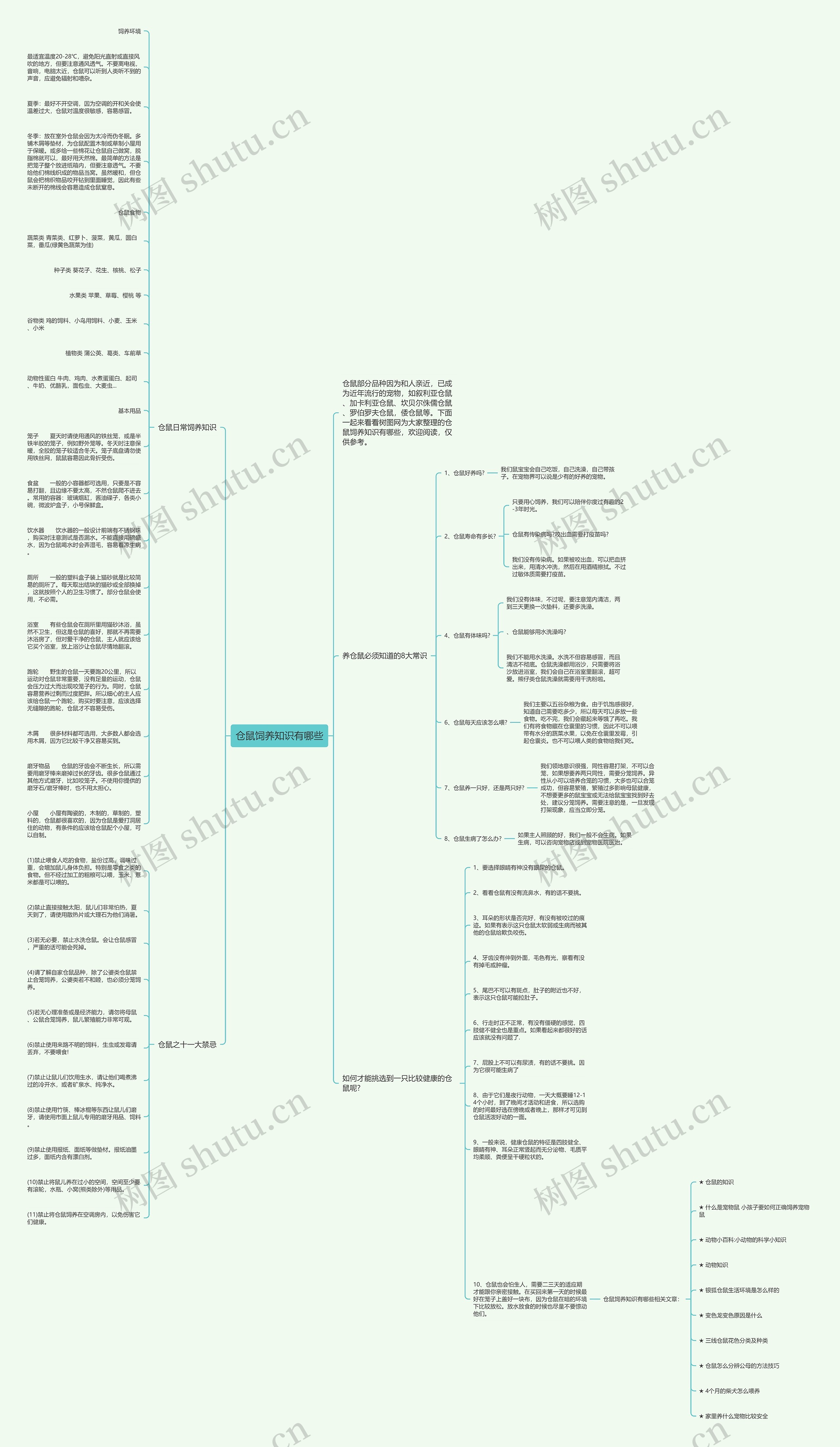 仓鼠饲养知识有哪些思维导图