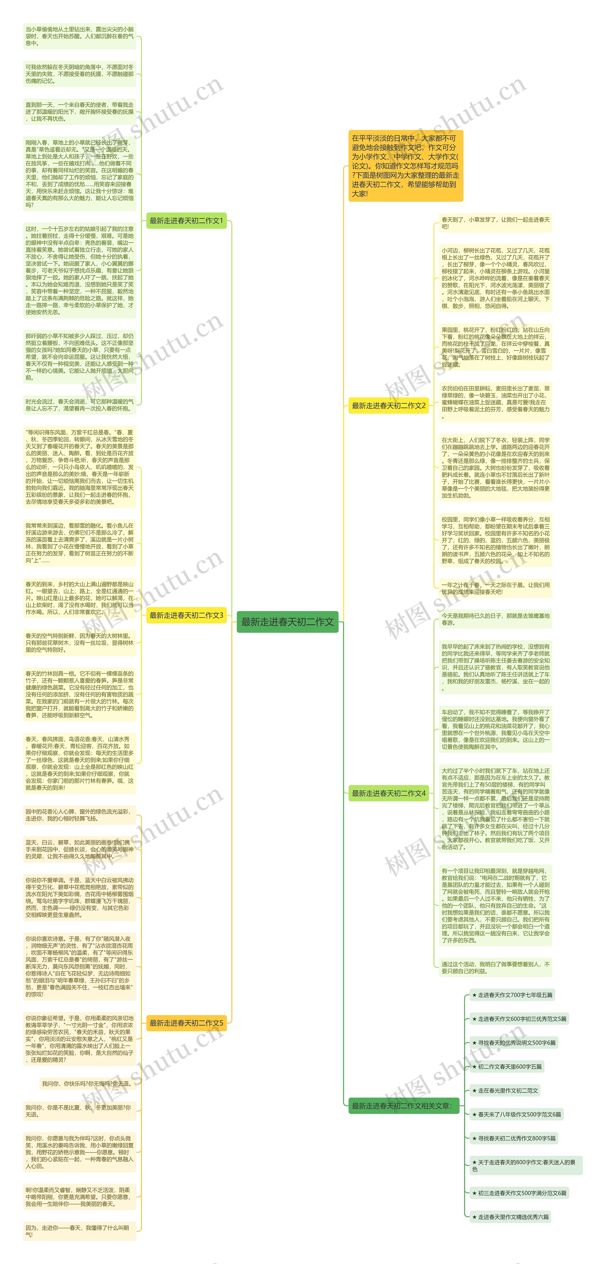 最新走进春天初二作文思维导图