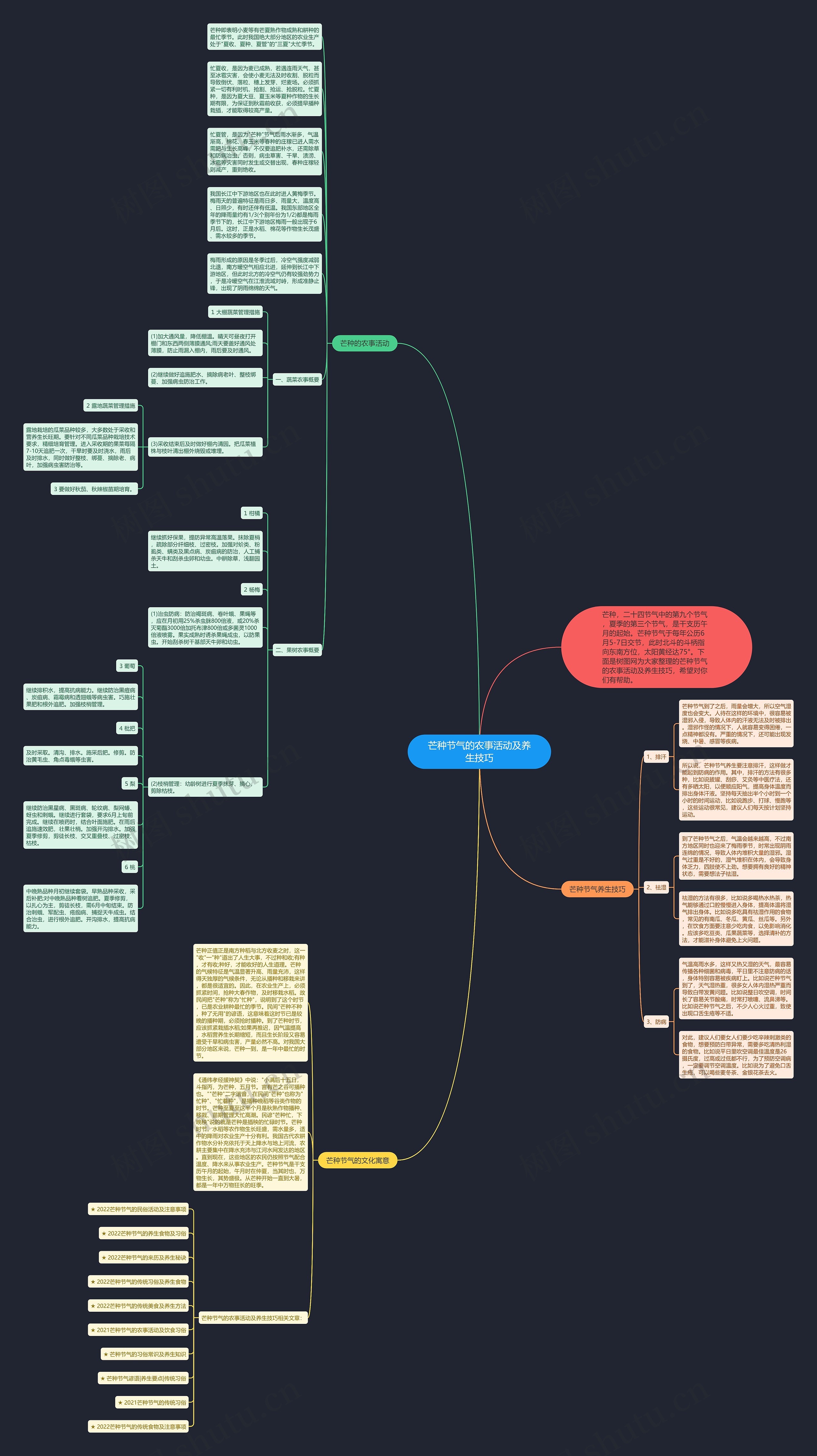 芒种节气的农事活动及养生技巧思维导图