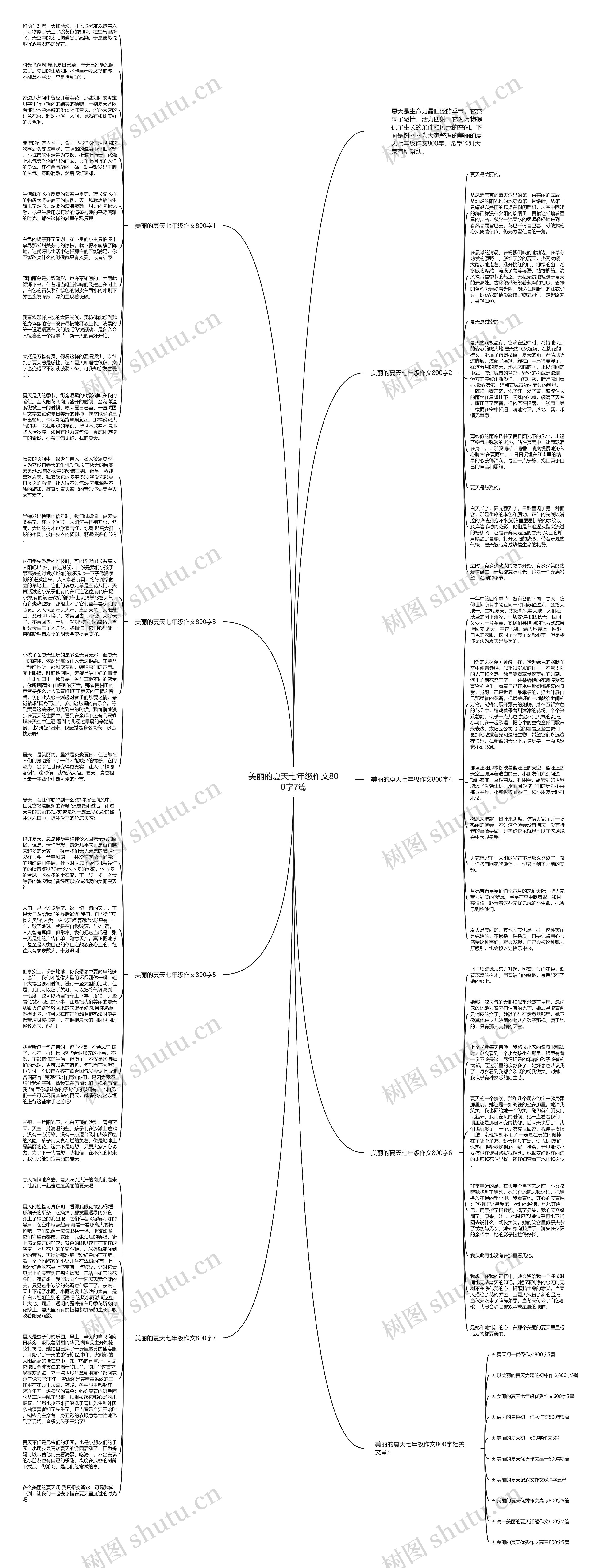 美丽的夏天七年级作文800字7篇思维导图