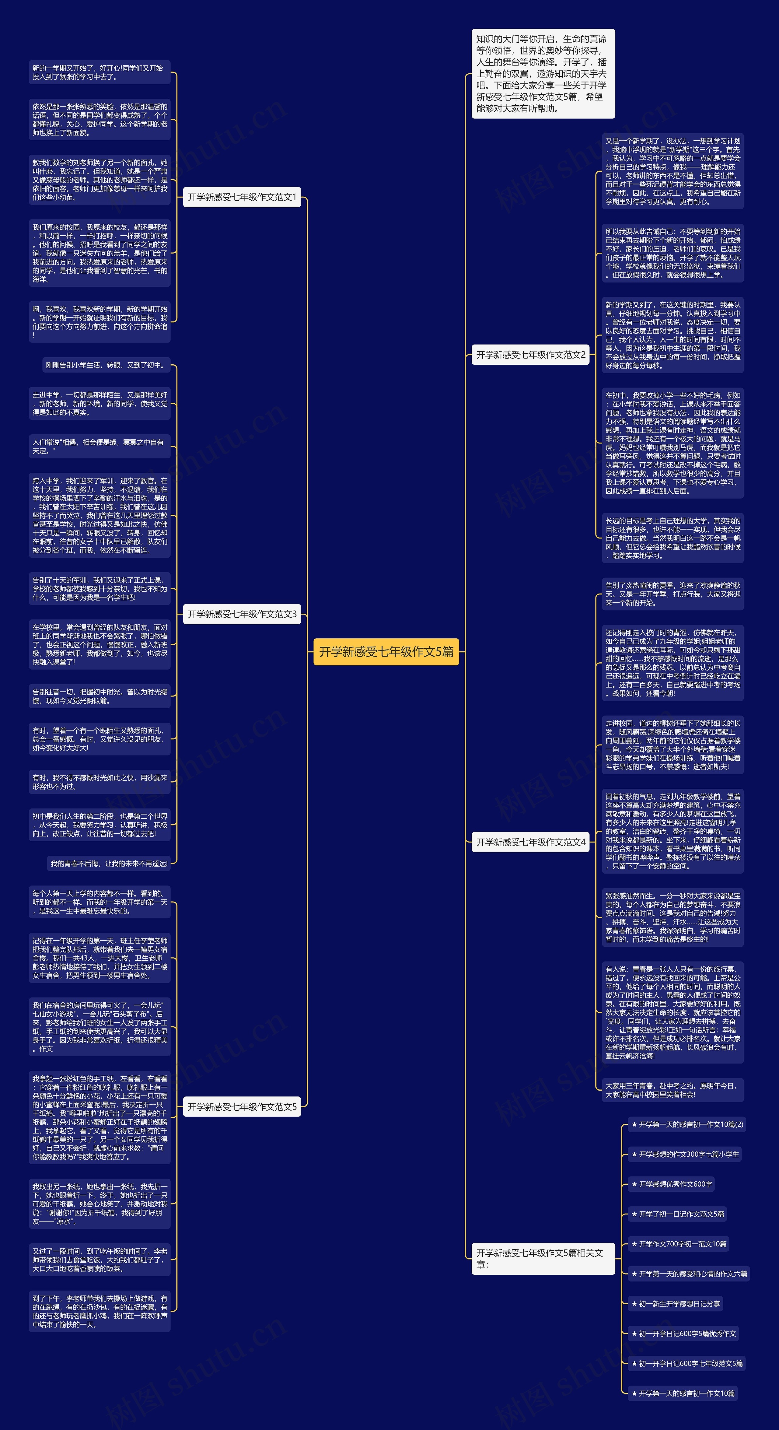 开学新感受七年级作文5篇思维导图