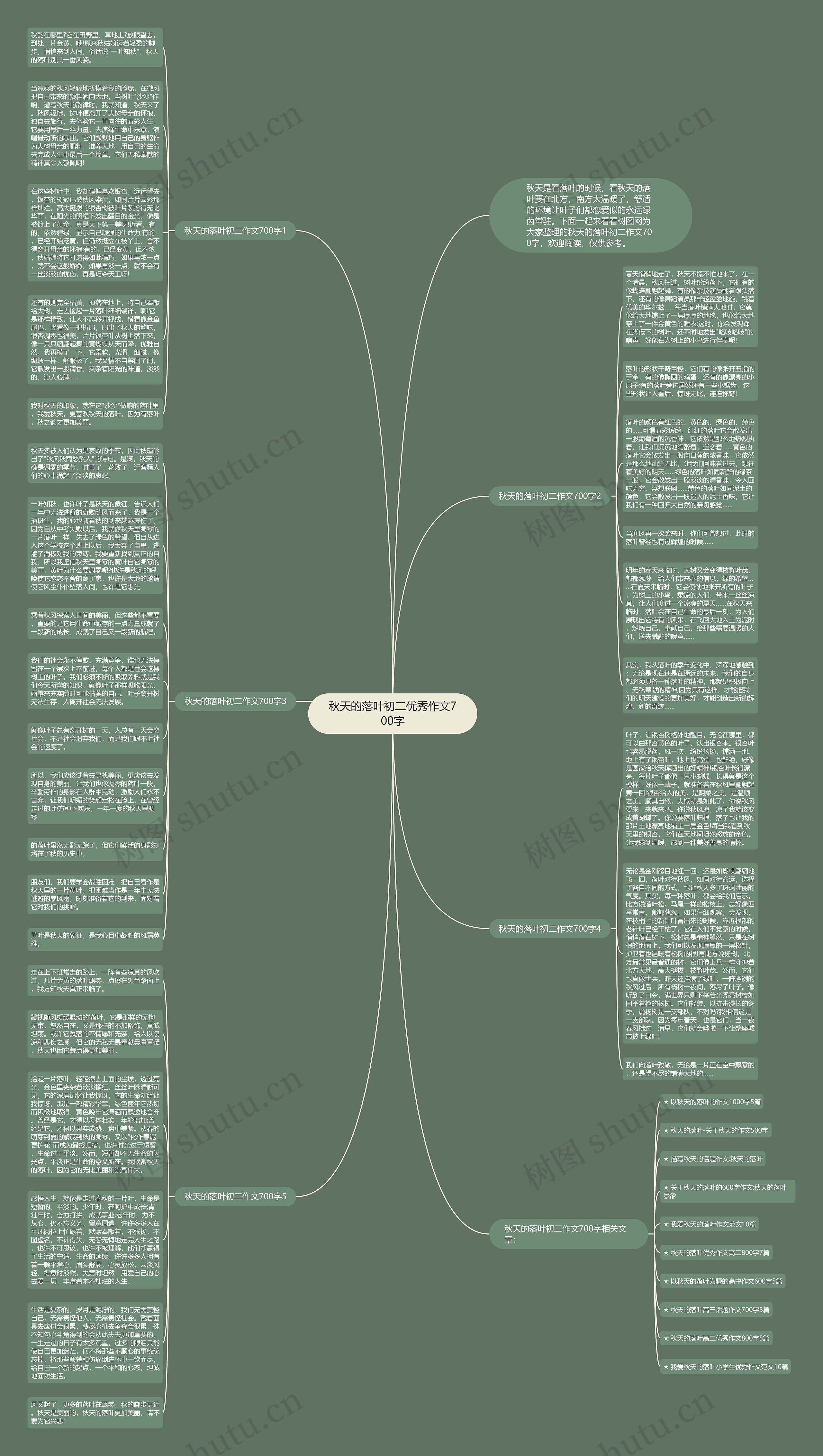 秋天的落叶初二优秀作文700字思维导图
