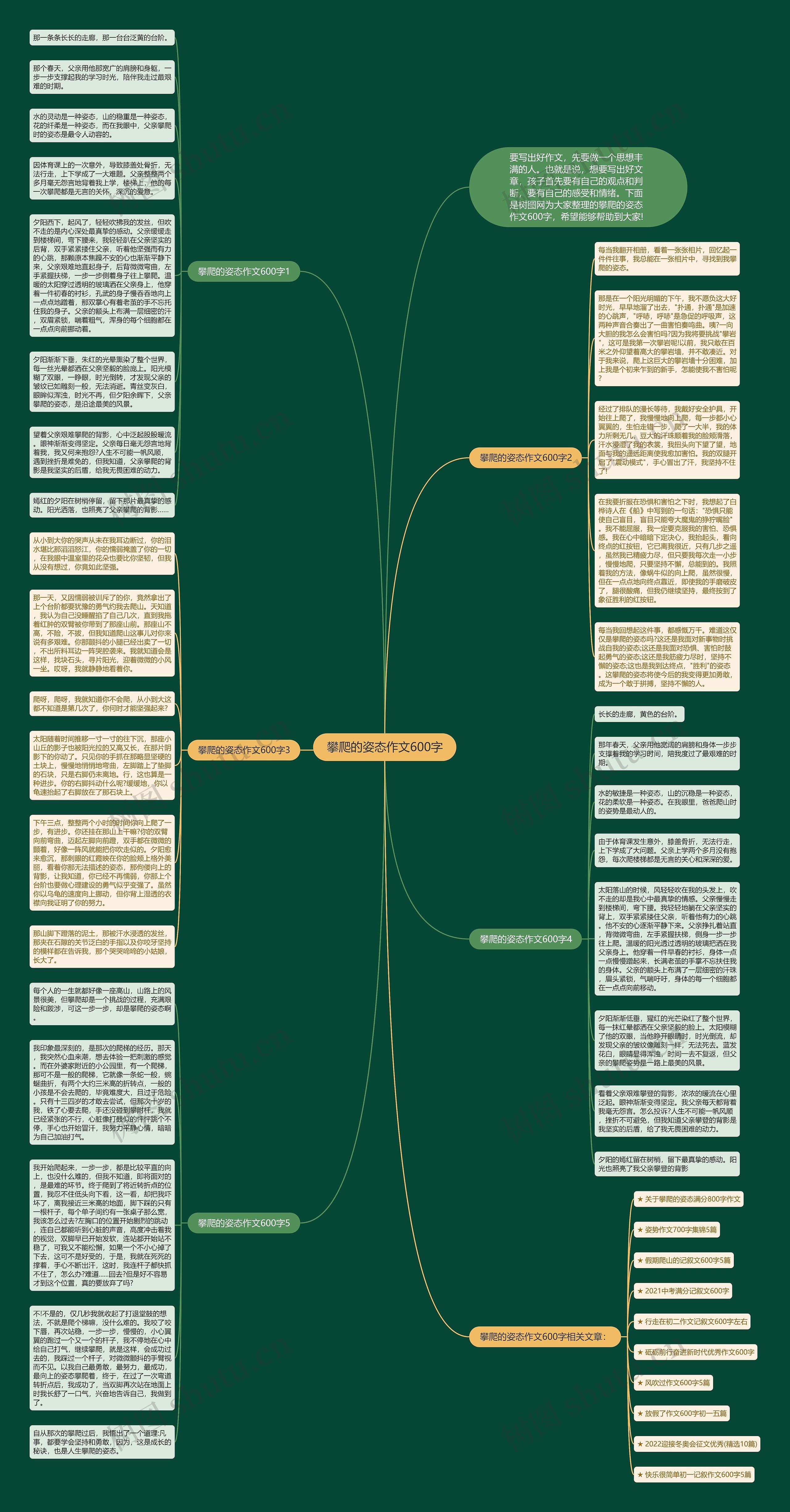 攀爬的姿态作文600字思维导图