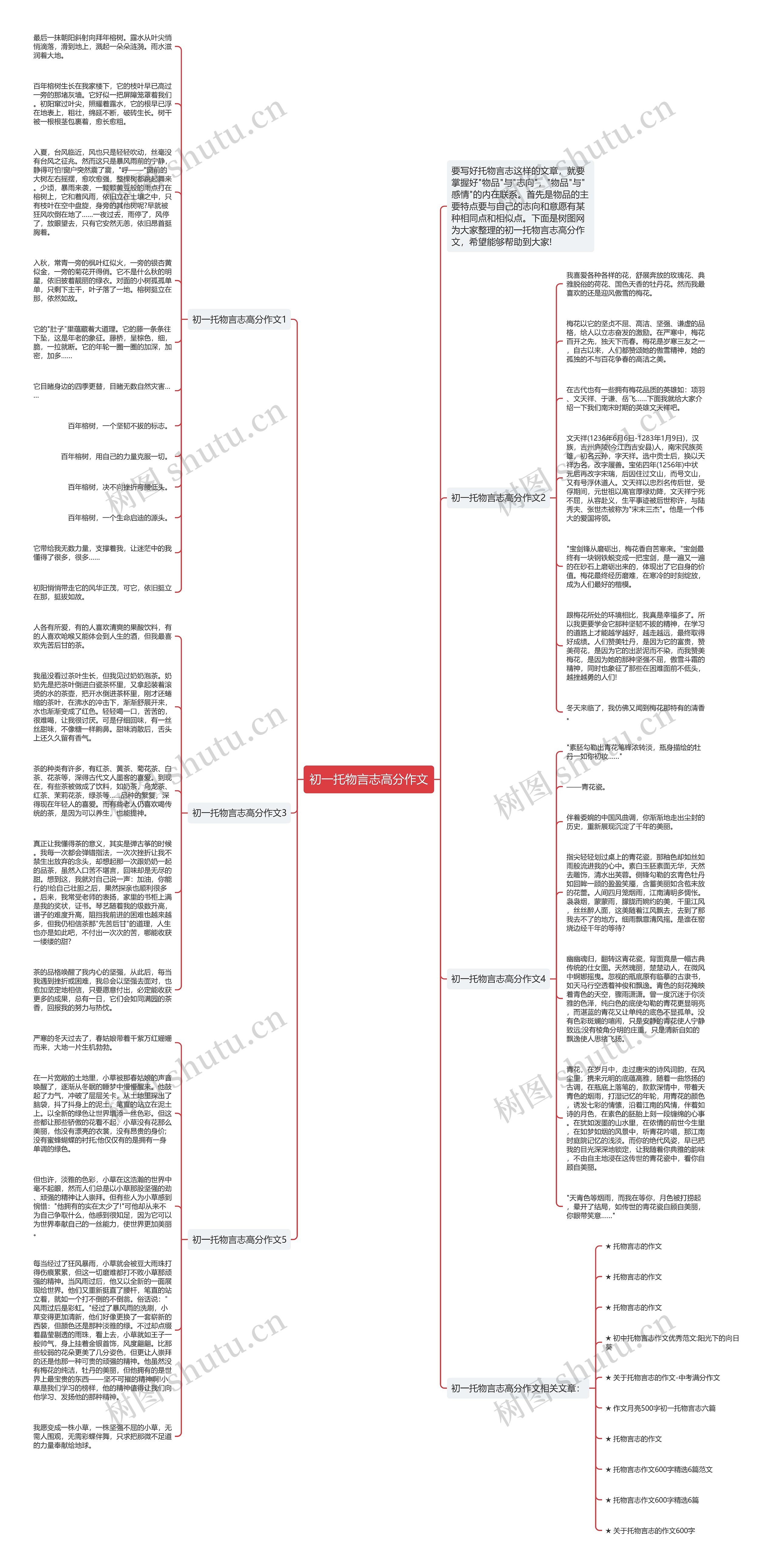 初一托物言志高分作文思维导图