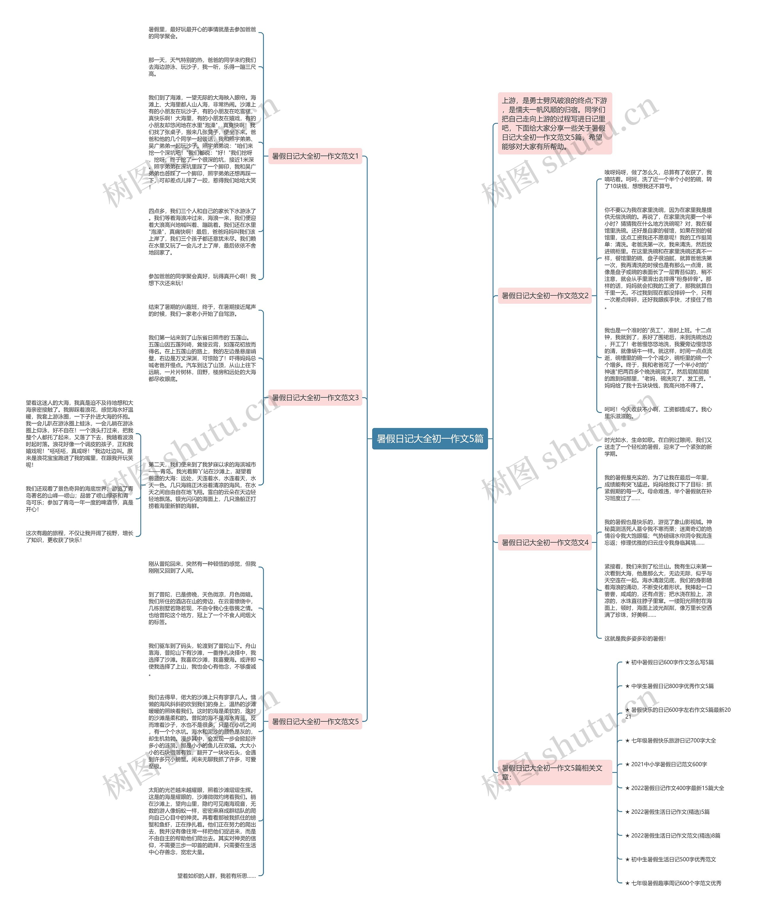 暑假日记大全初一作文5篇思维导图