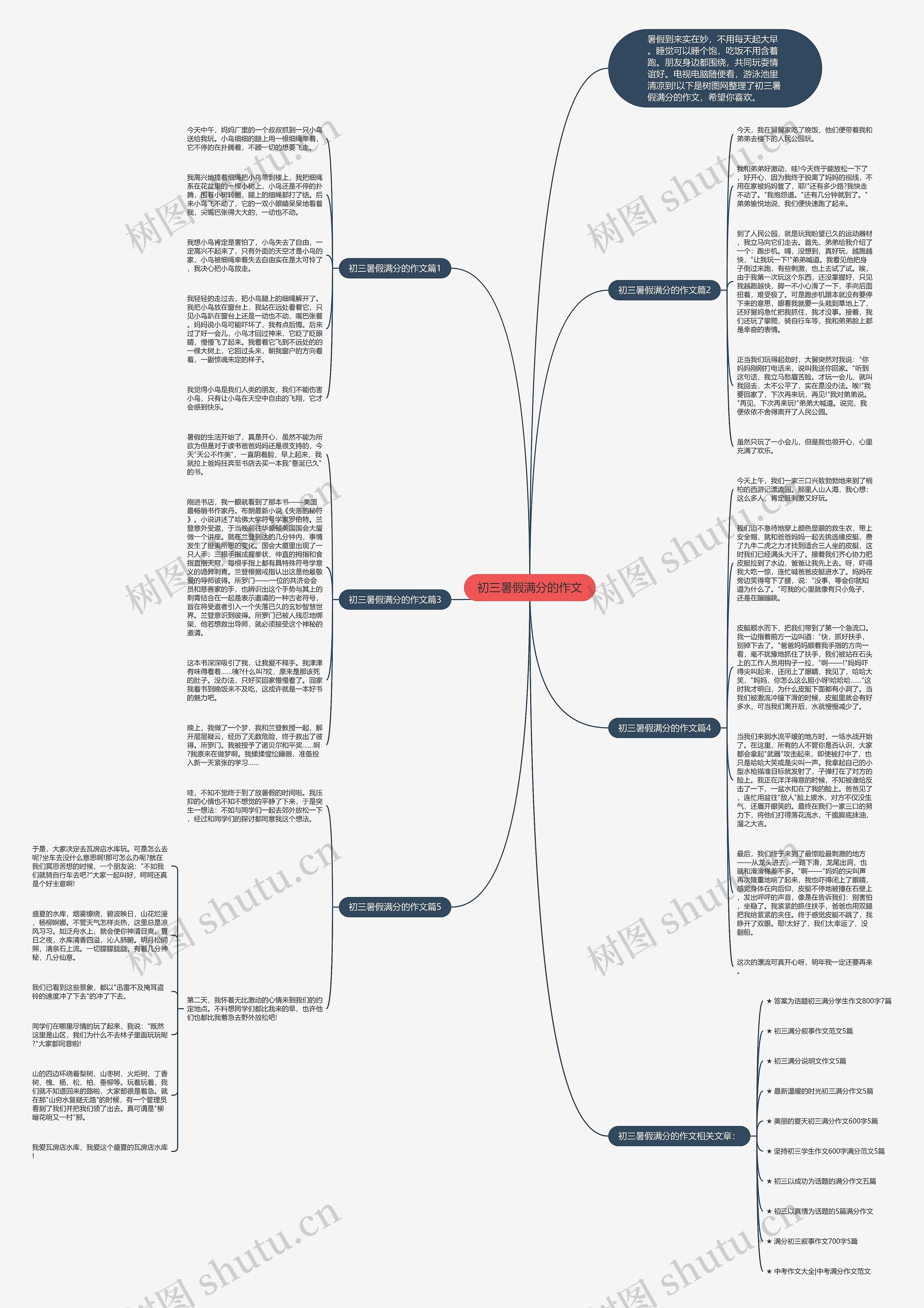 初三暑假满分的作文思维导图