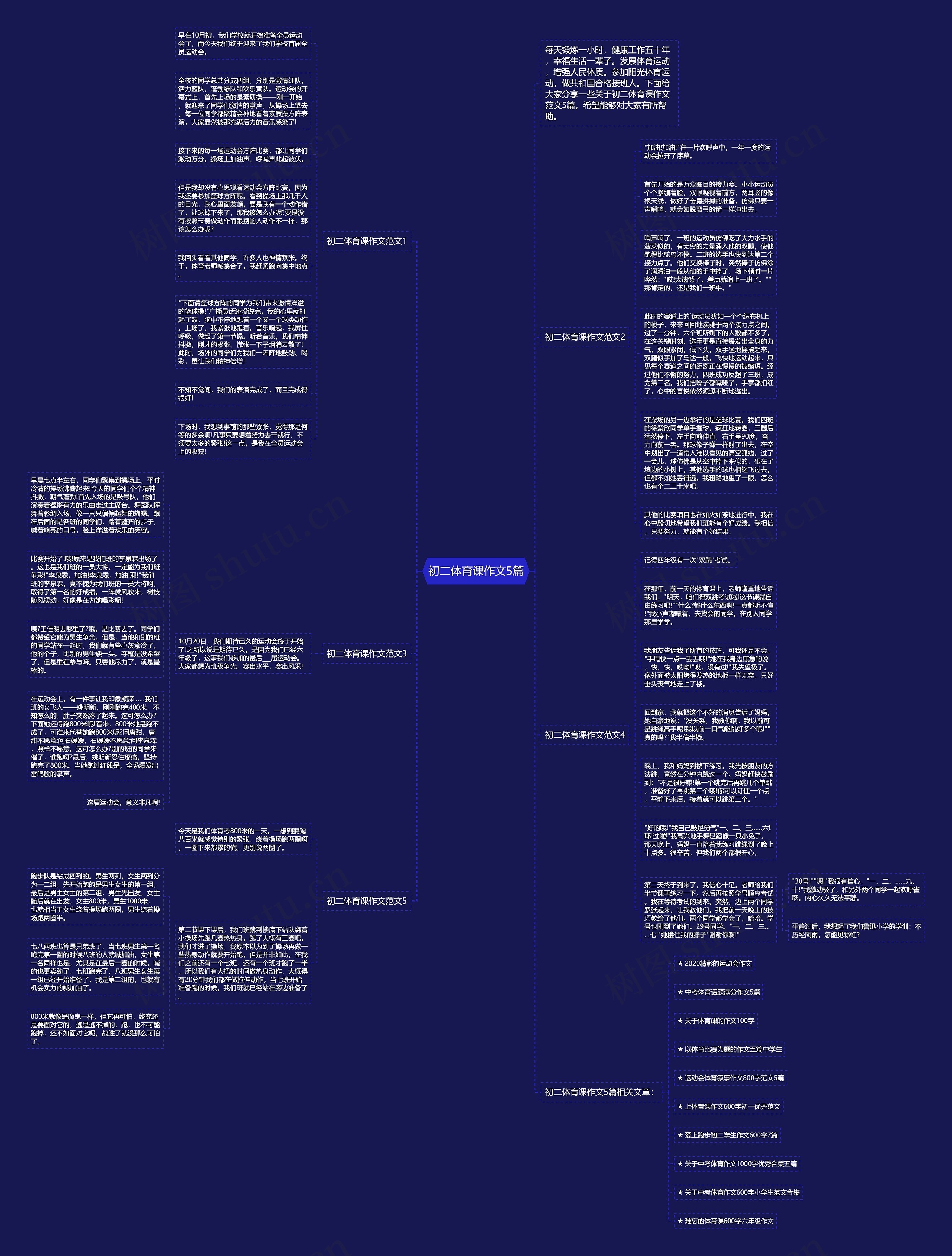 初二体育课作文5篇