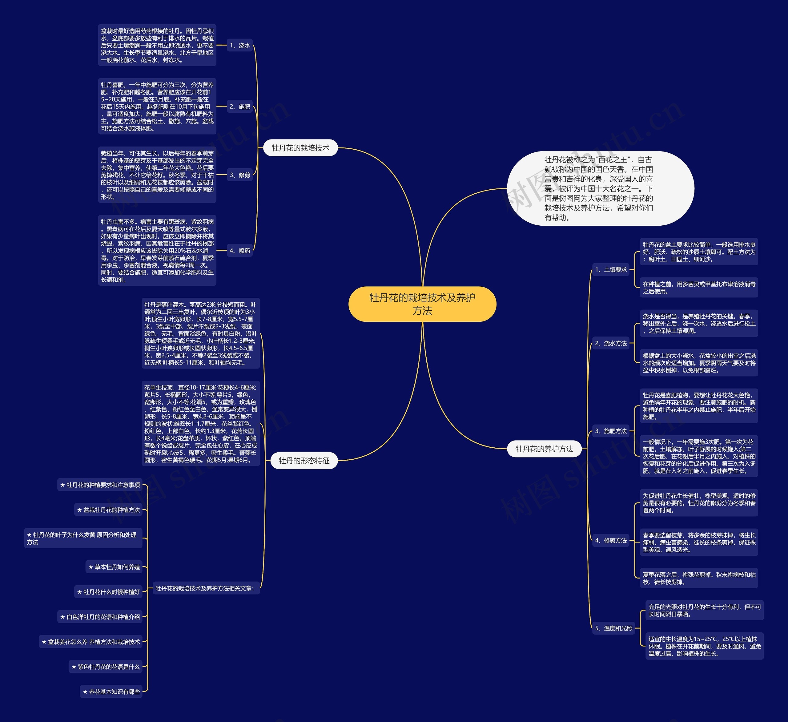 牡丹花的栽培技术及养护方法思维导图高清图 牡丹花的栽培技术及养护方法思维导图