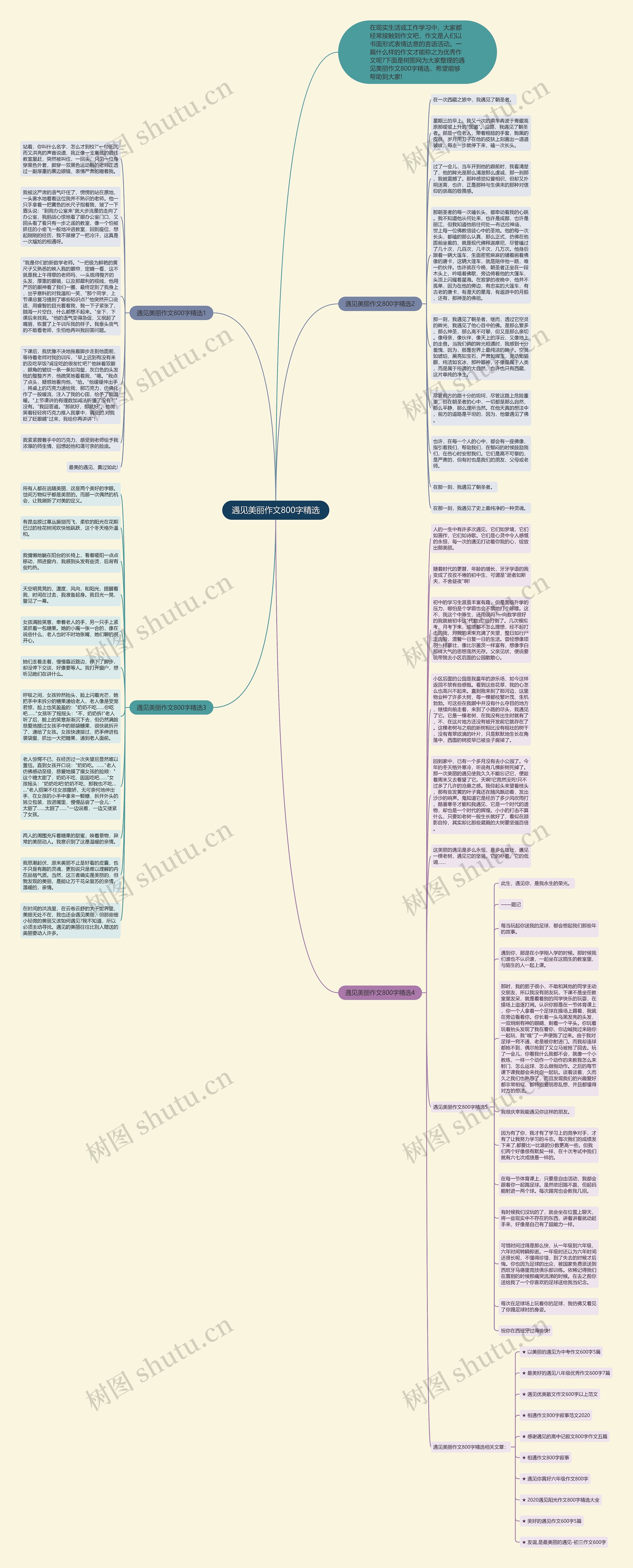 遇见美丽作文800字精选思维导图