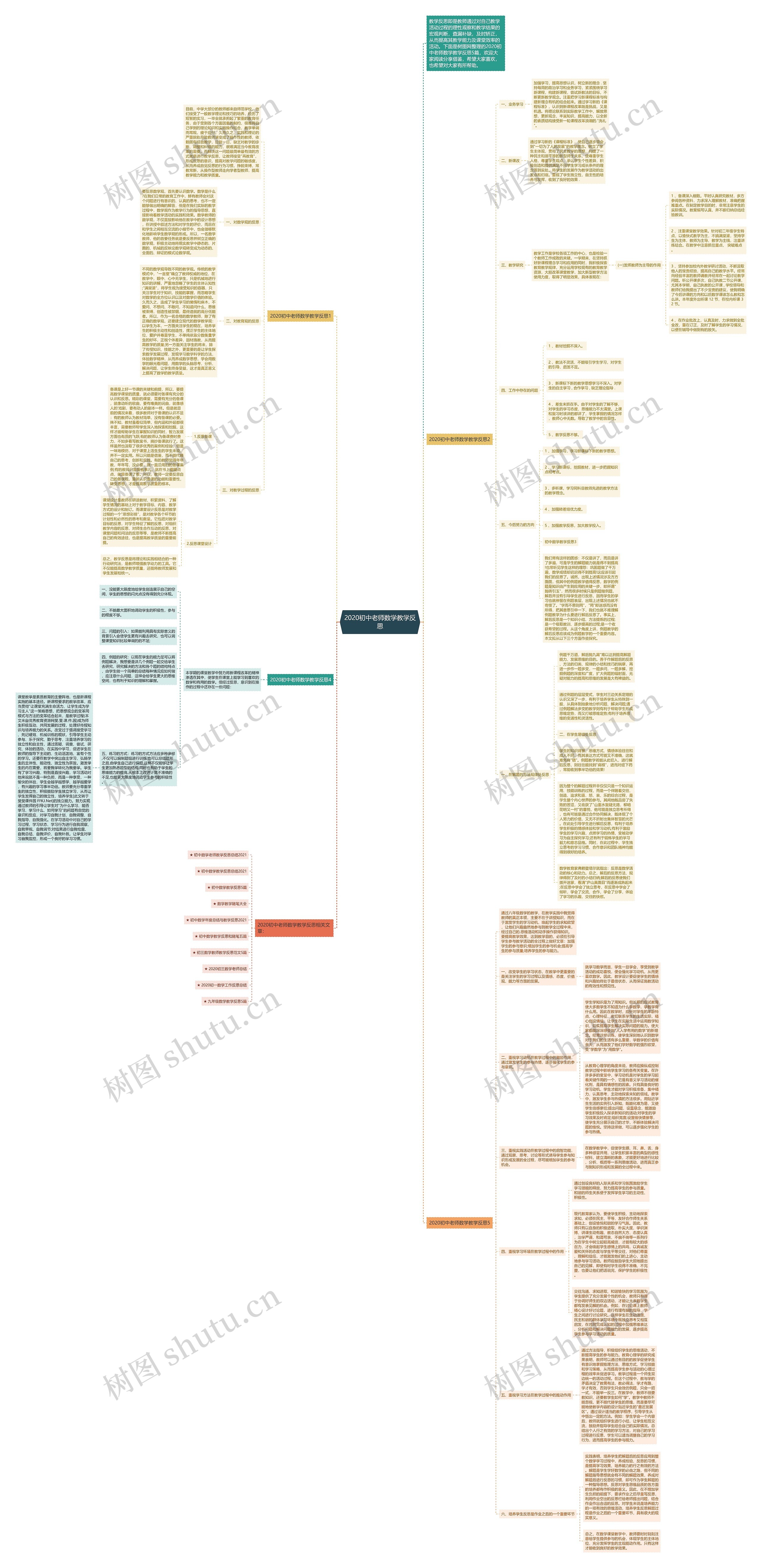 2020初中老师数学教学反思思维导图