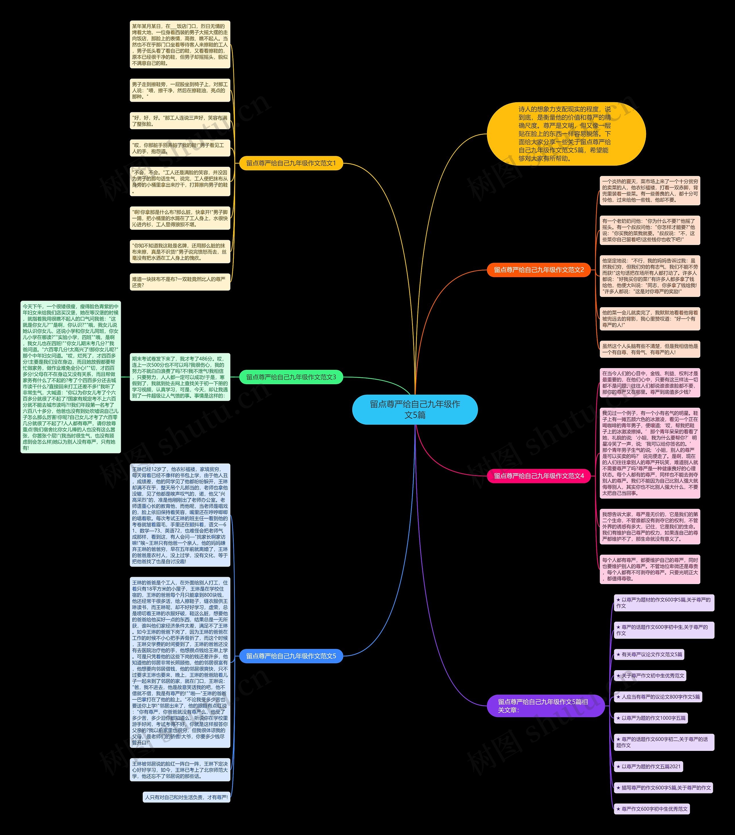 留点尊严给自己九年级作文5篇思维导图