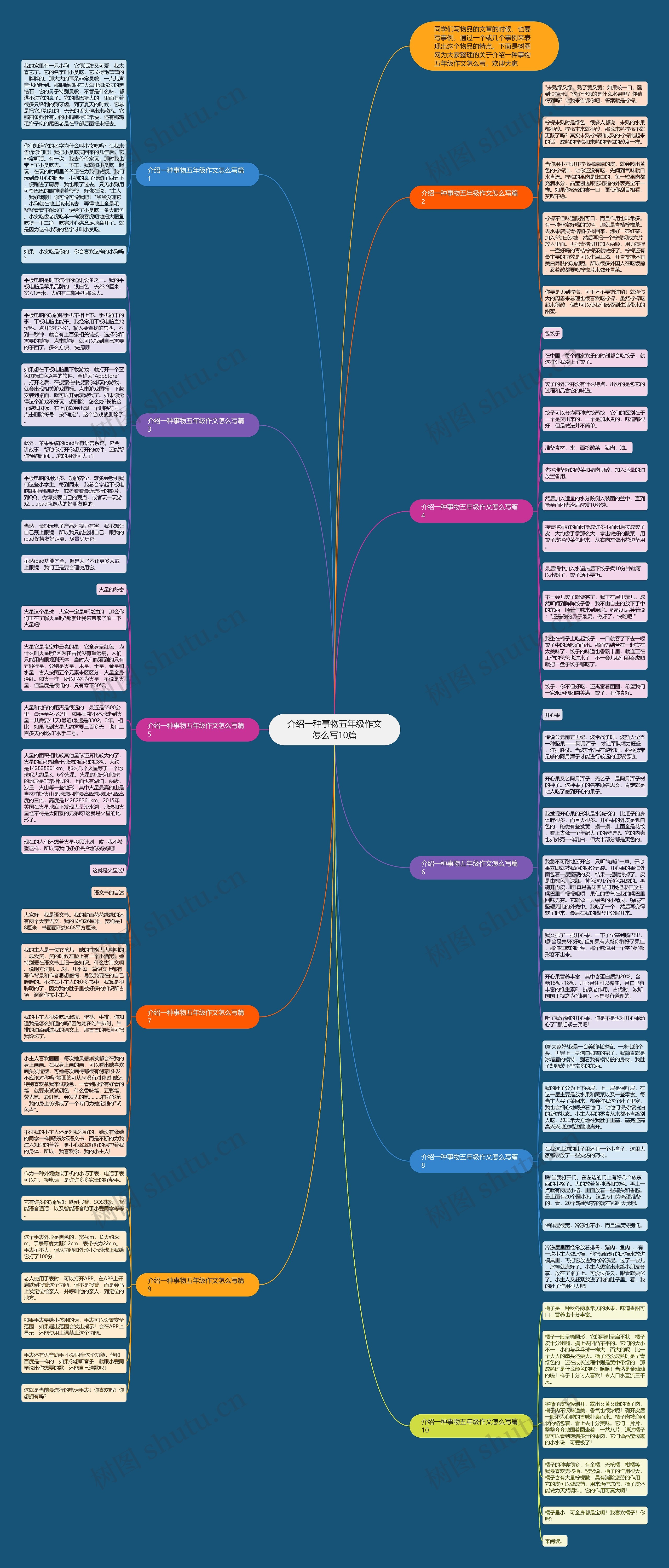 介绍一种事物五年级作文怎么写10篇思维导图